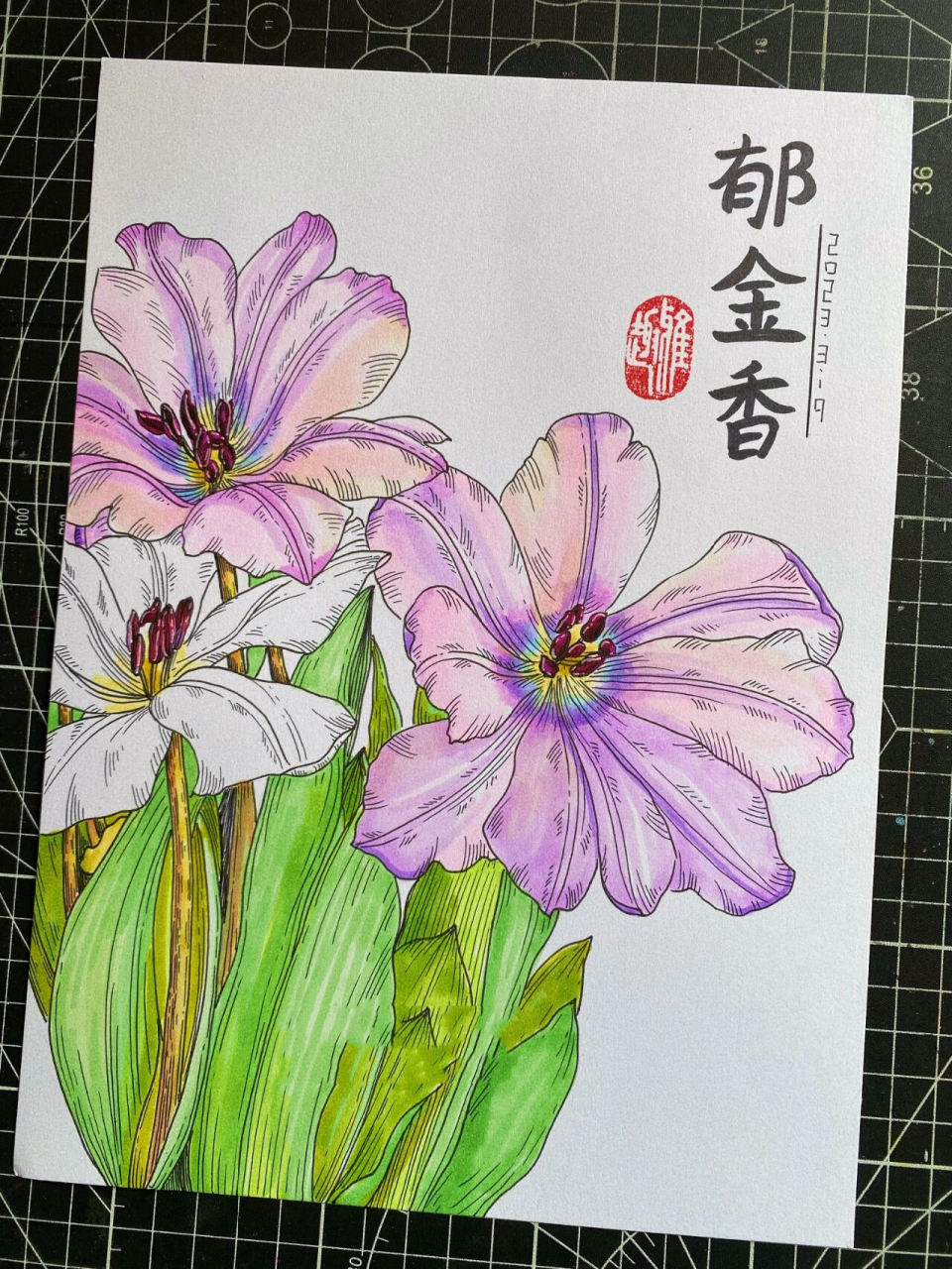 花卉马克笔画图片