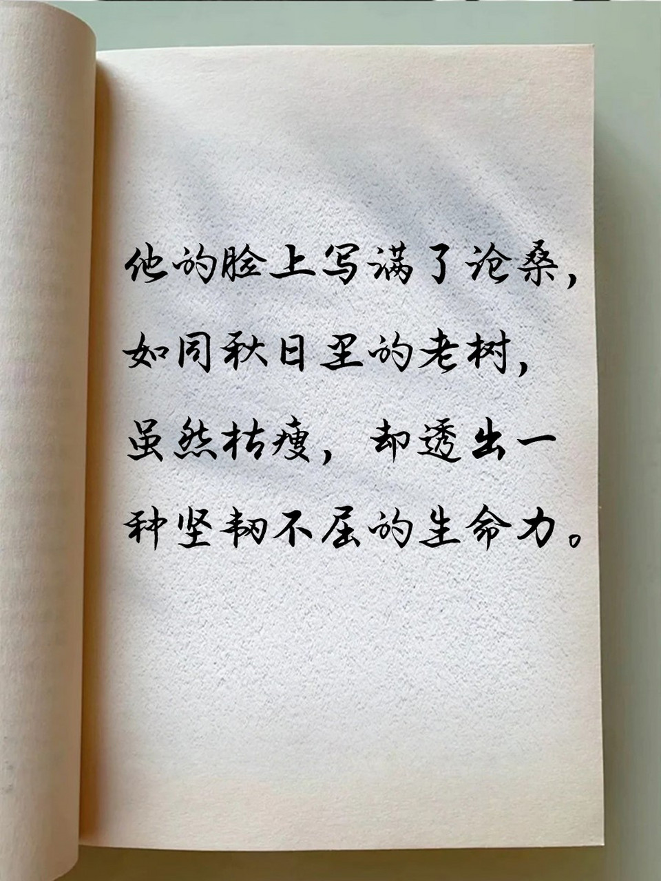 写饱经风霜的脸的句子 这些句子通过描绘皱纹,面容等特征,展现了饱经