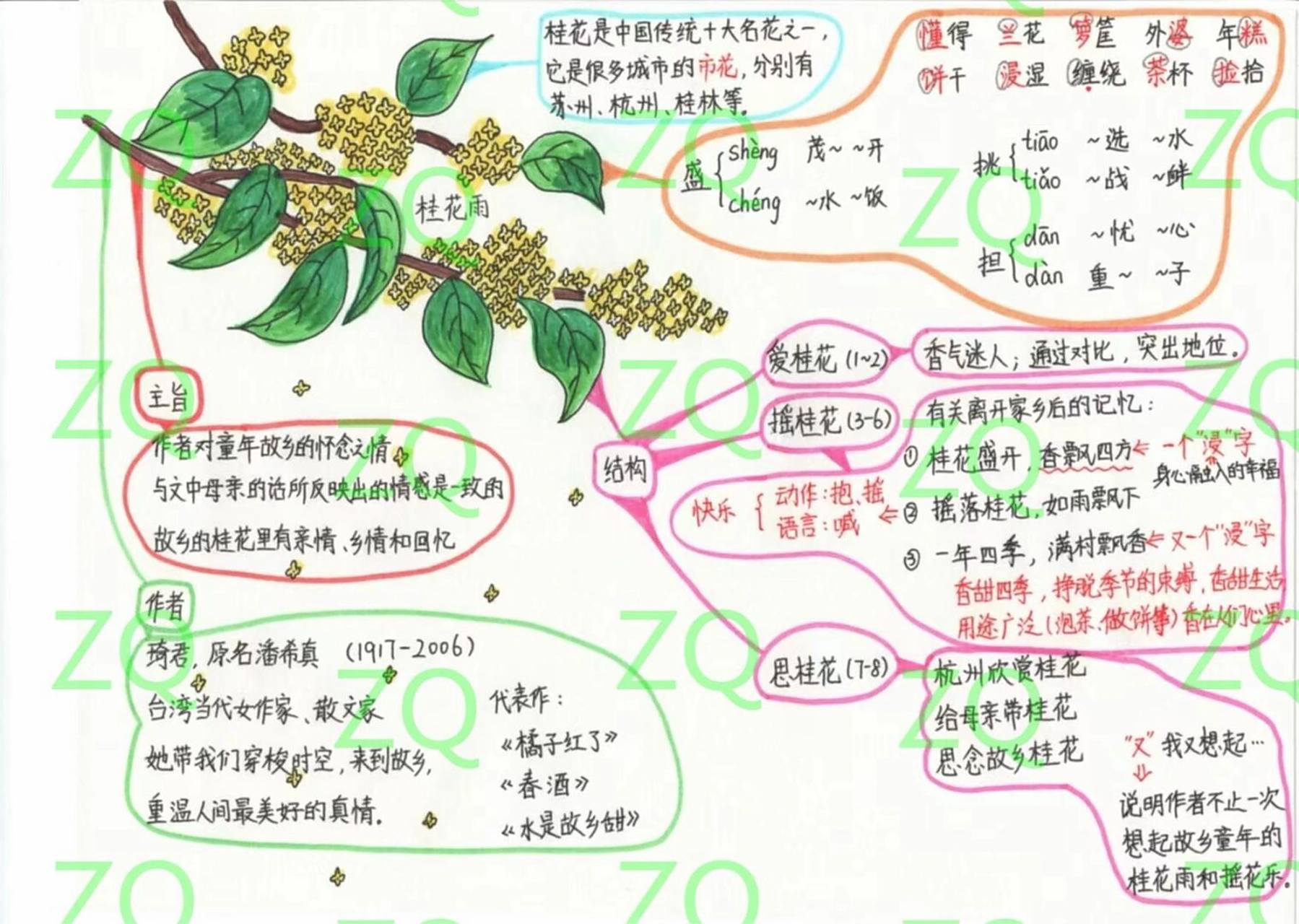 五上语文 第三课 桂花雨 思维导图 五上语文 第三课 桂花雨 思维导图
