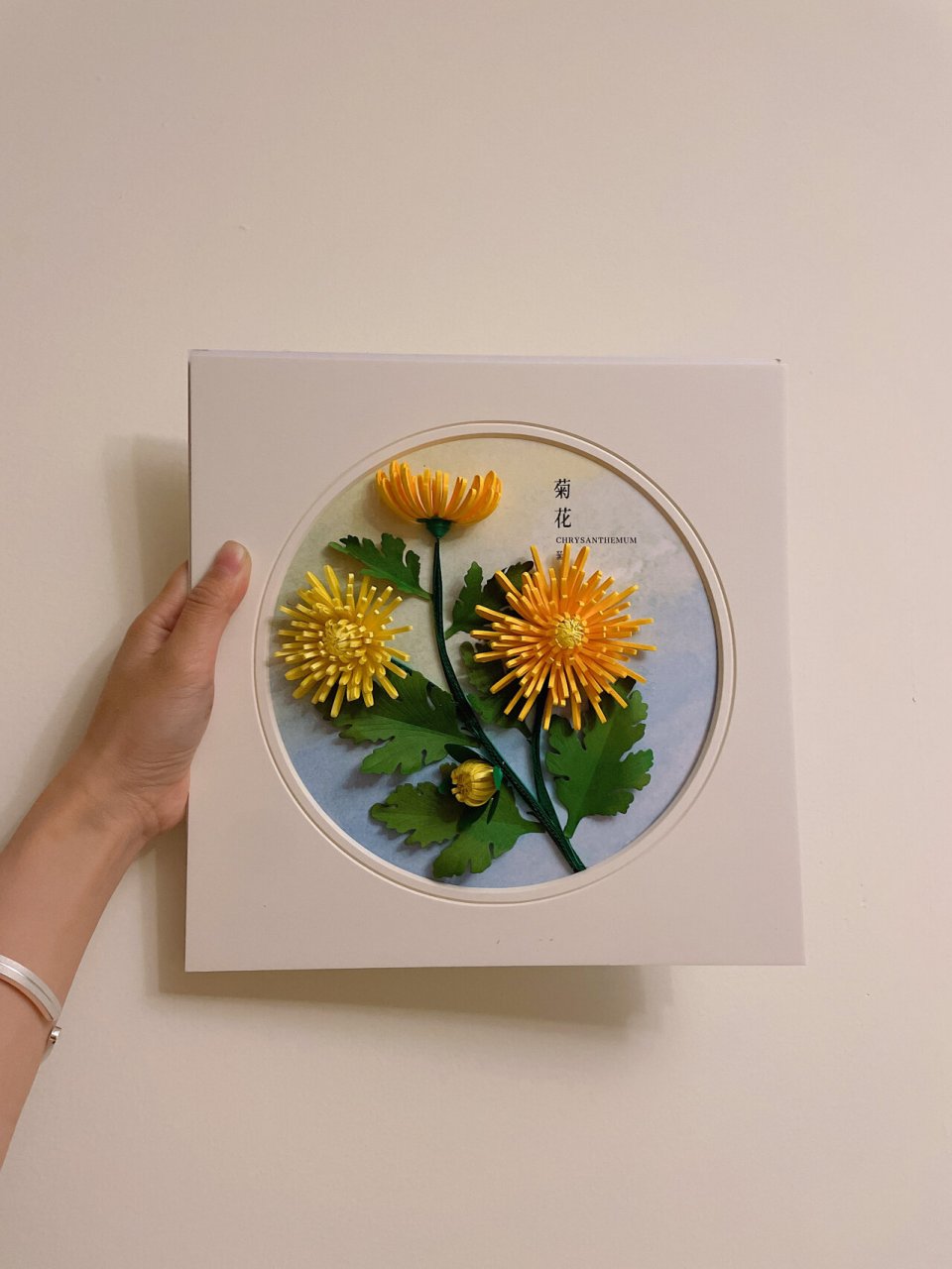 衍纸作品——菊花 菊花是我国的传统名花.