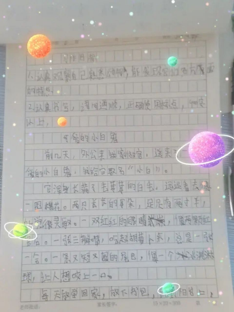 四年级下册第四单元作文,可爱的小白兔