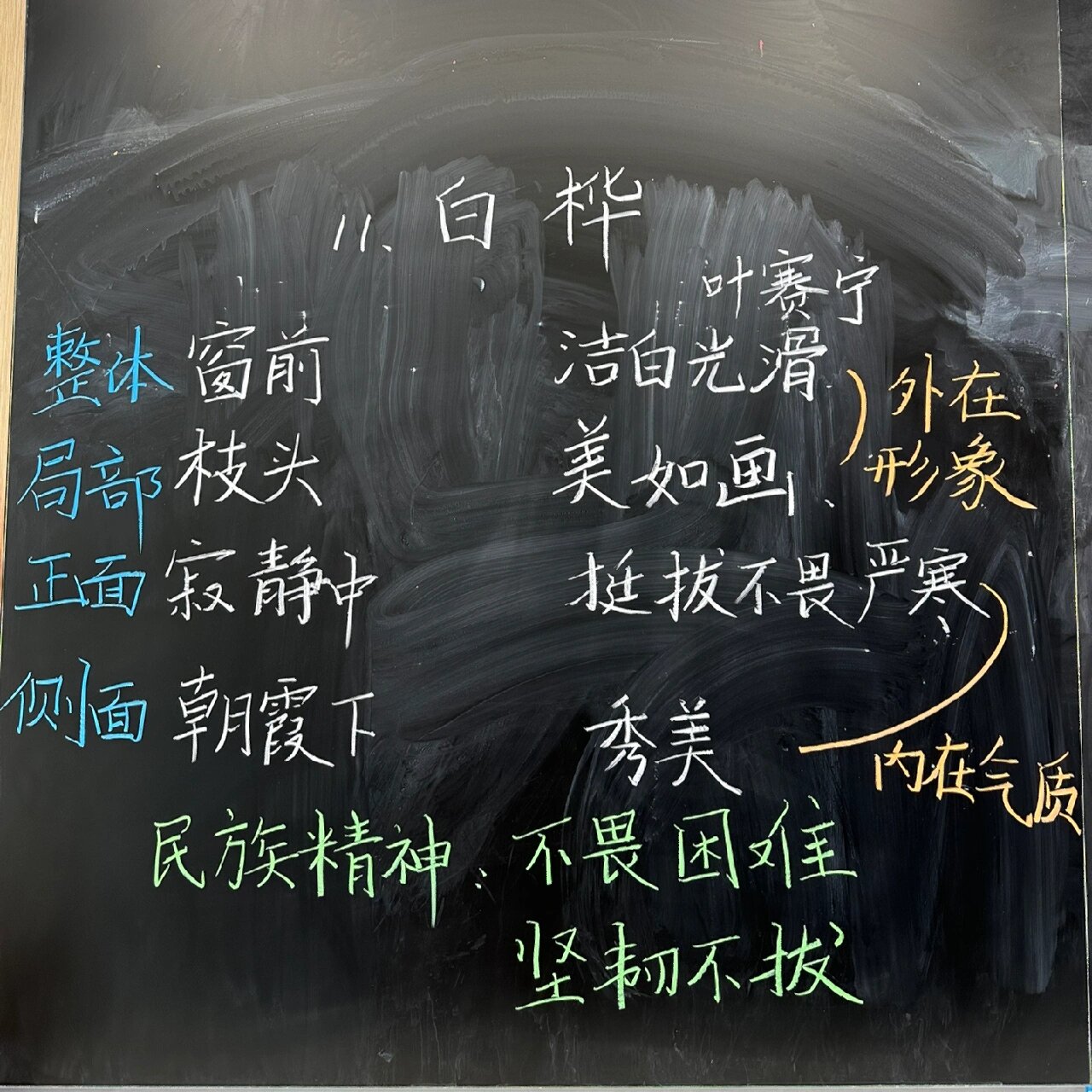 四下语文《白桦》 板书设计