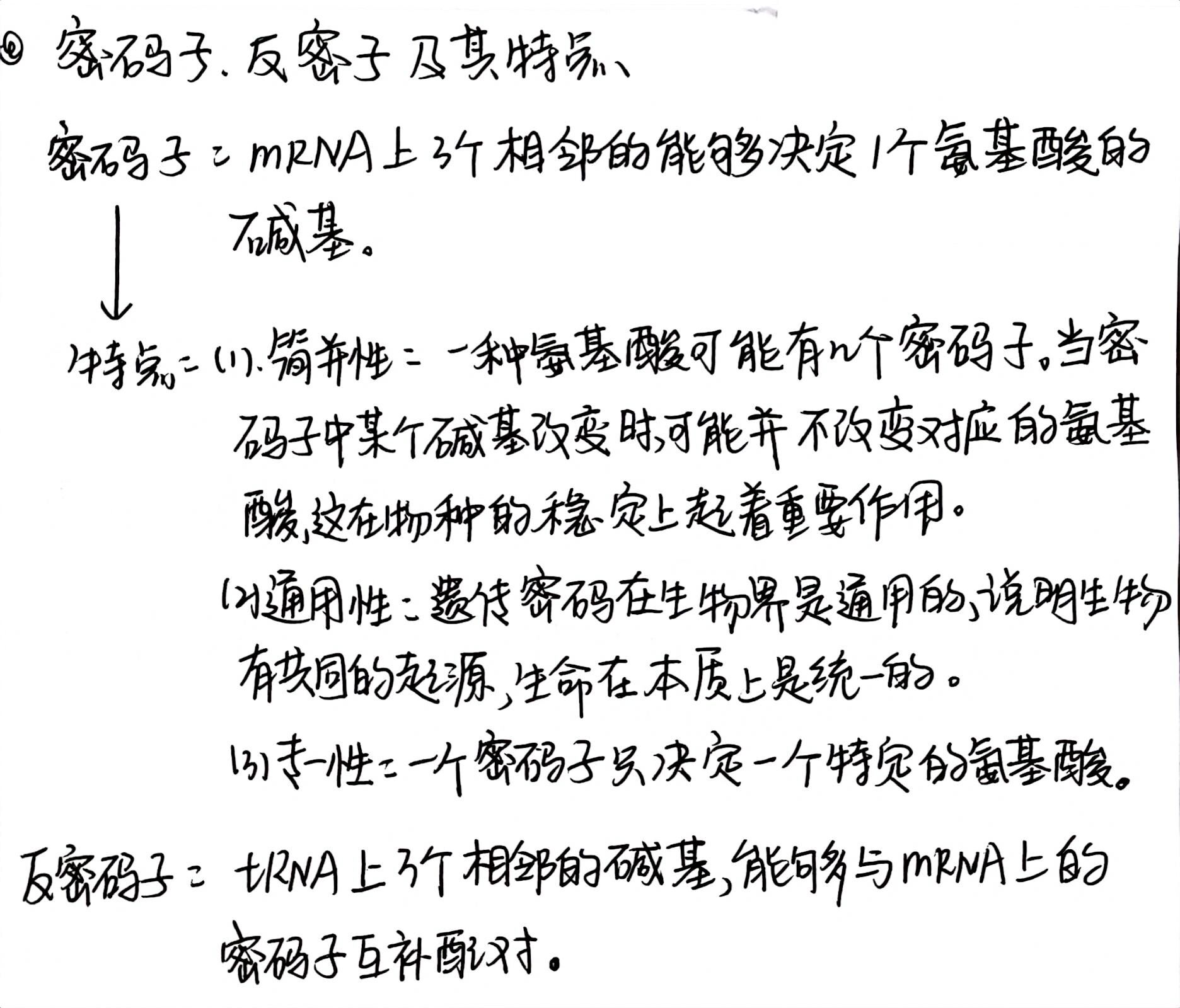 密码子与反密码子