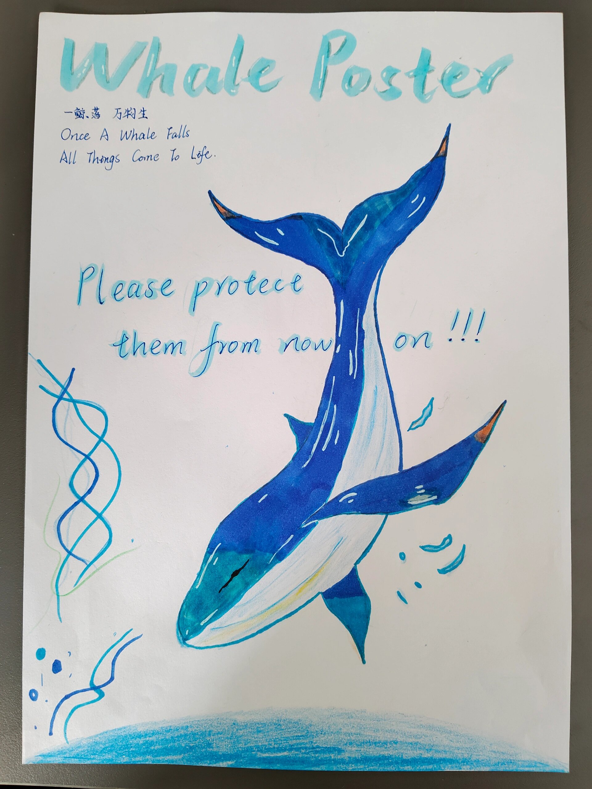 鲸鱼海报 whale  poster