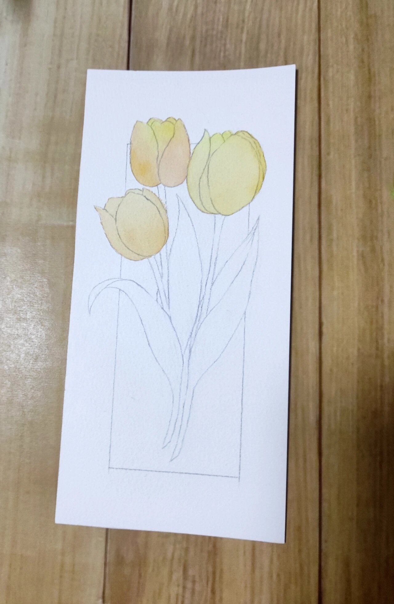 零基础也能画的郁金香书签(附绘画教程