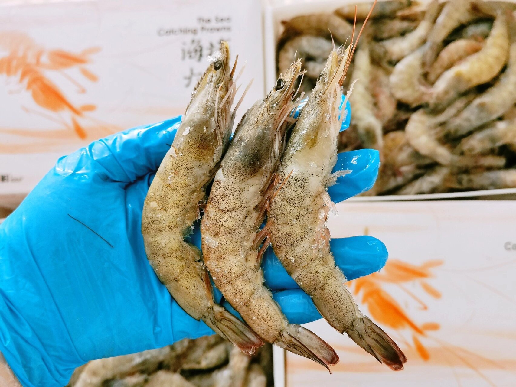 海捕虾变质辨别方法: 1,最有效最直接的就是煮几只,虾稍微有一点不