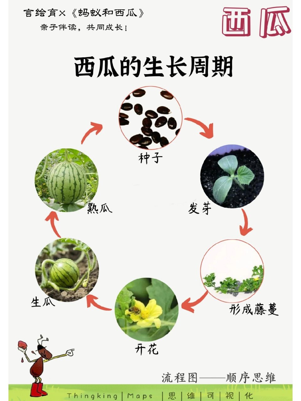 种植西瓜思维导图图片