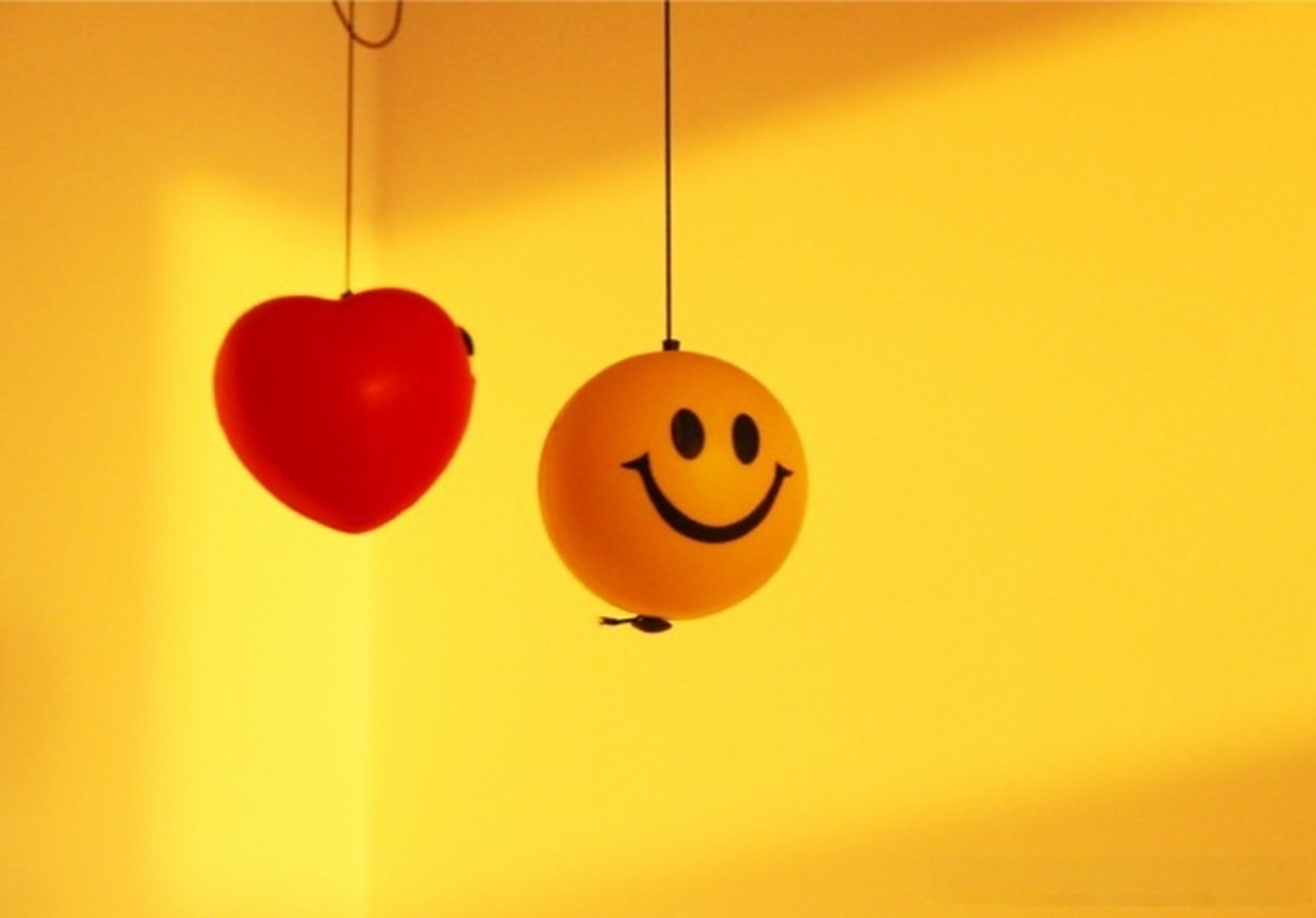 笑一笑,十年少 愁一愁,白了头 笑对一切,生活豁然开朗 愿君每天都是"