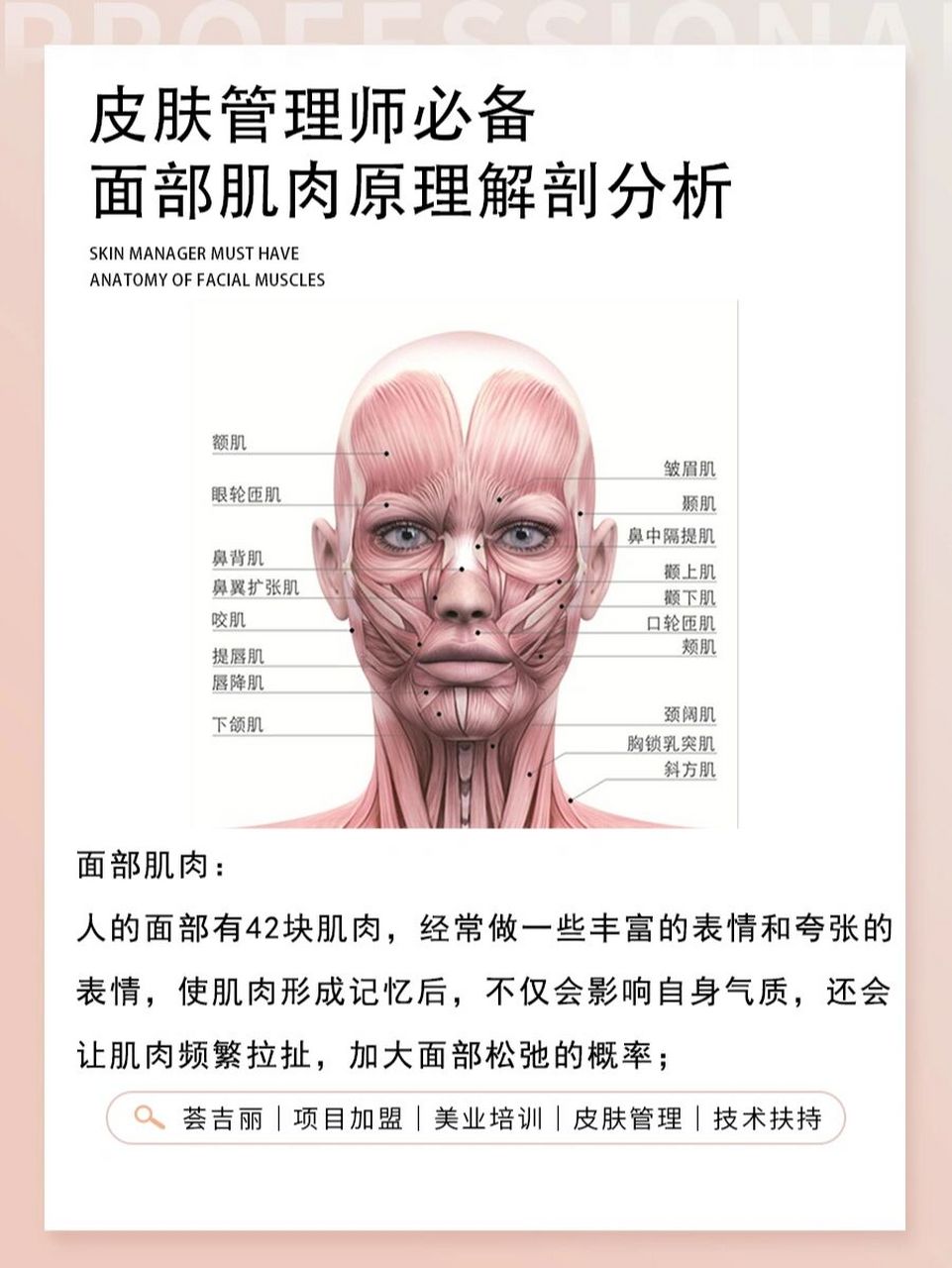 面部肌肉原理解剖分析73 78面部肌肉: 人的面部有42块肌肉,经常做
