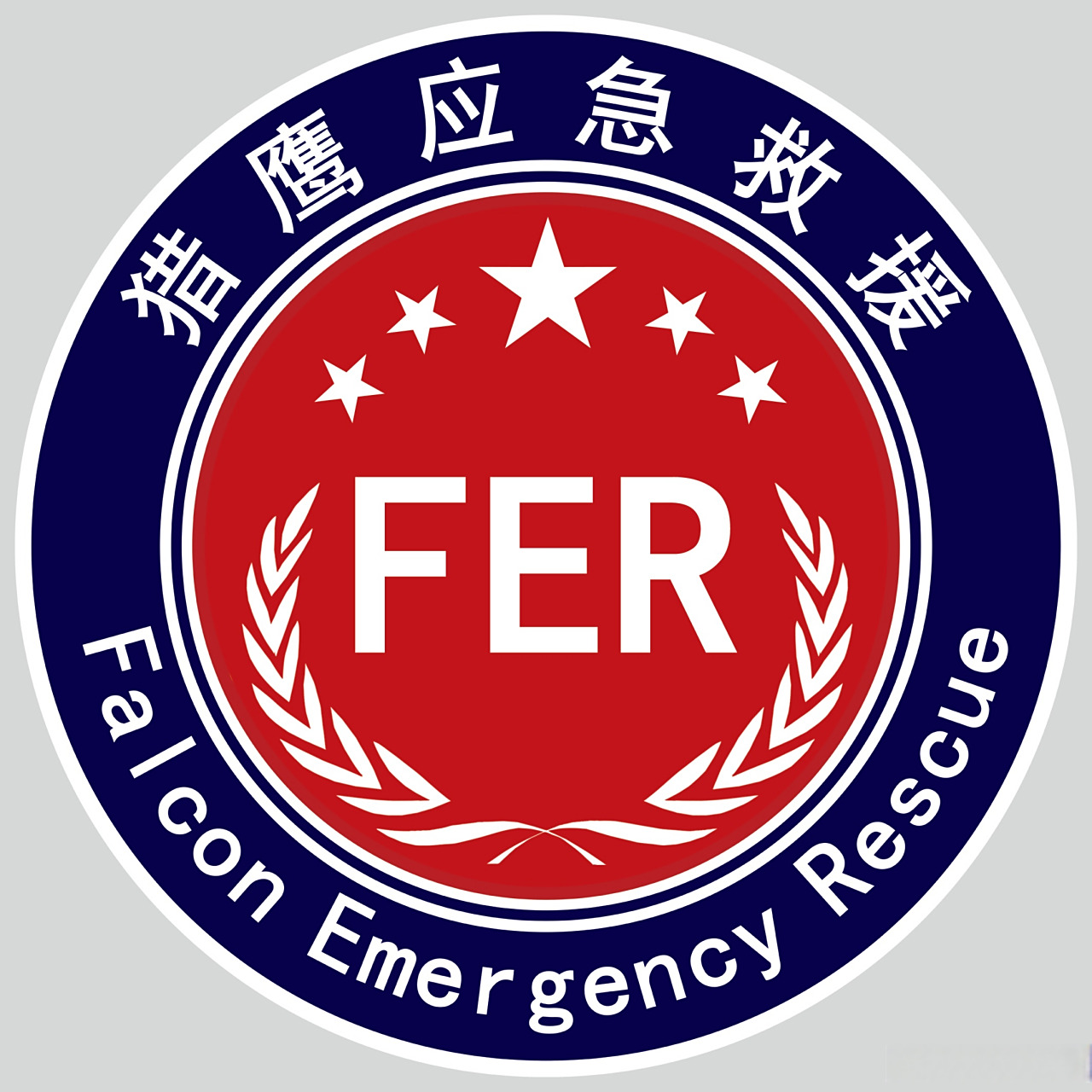猎鹰应急救援队队徽标志标识规范 一主标志(队徽) 主标志(队徽)整体呈