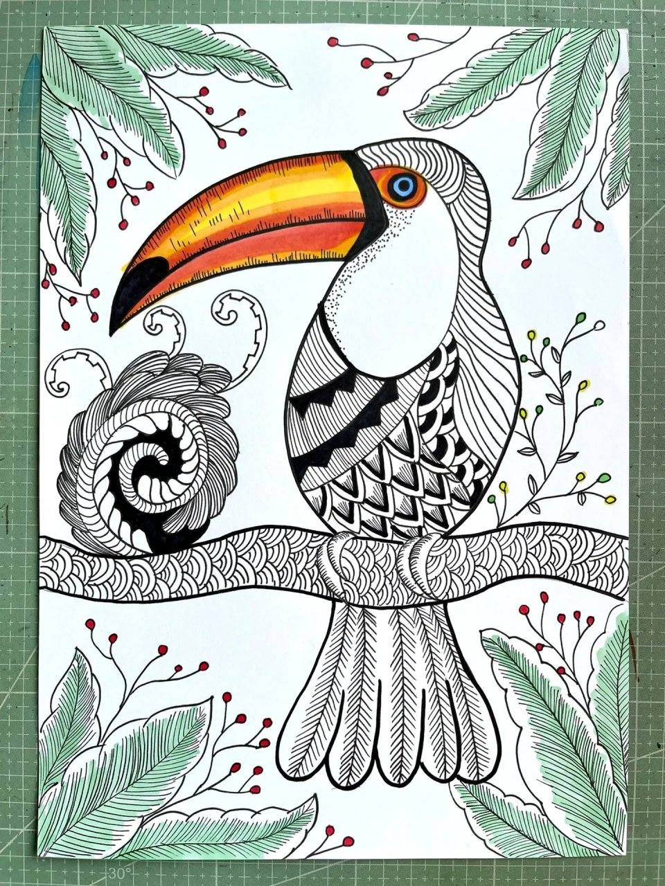 《大嘴鸟》临摹 临摹的