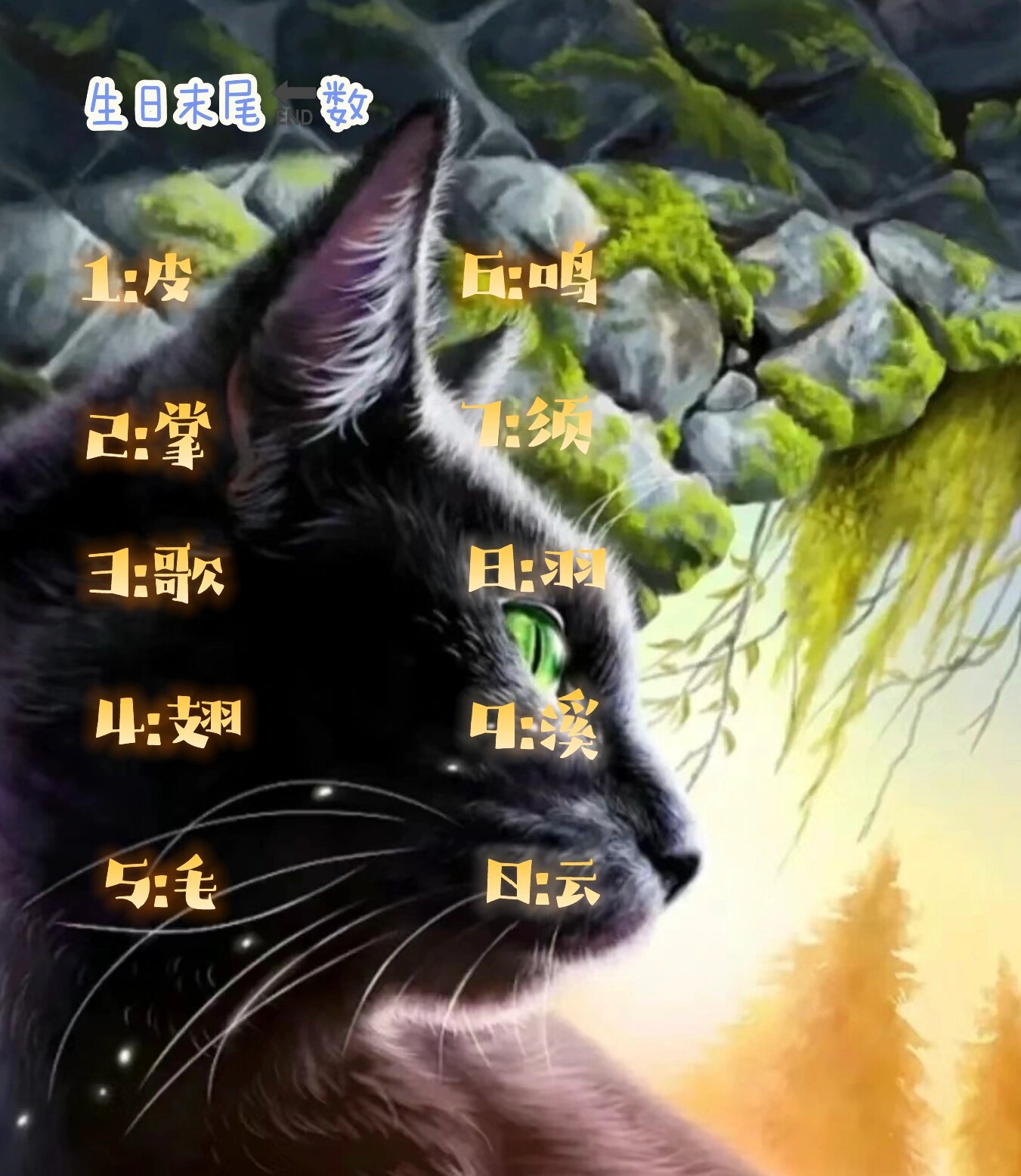 猫武士取名