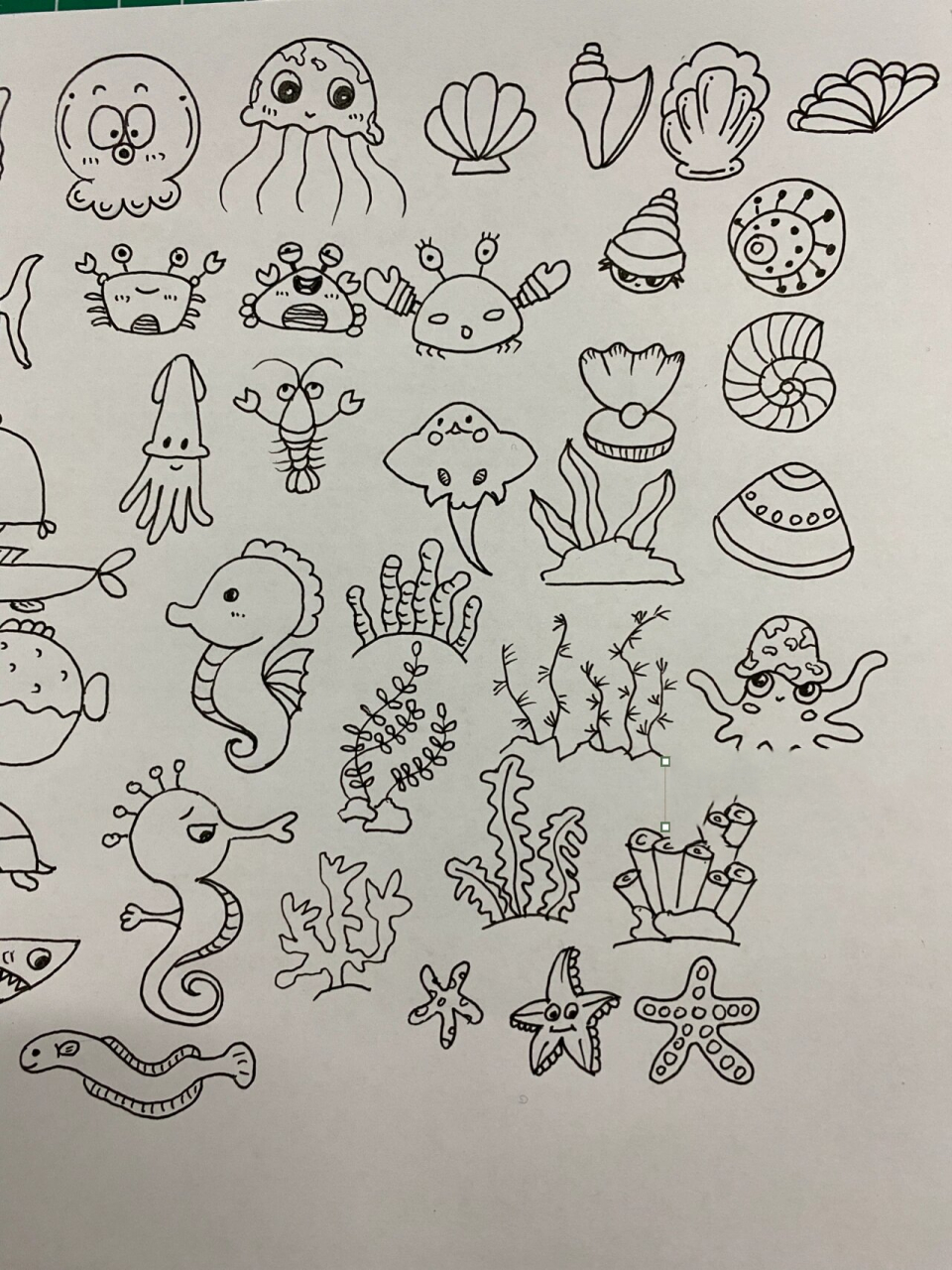 海洋简笔画 海底生物 海洋世界