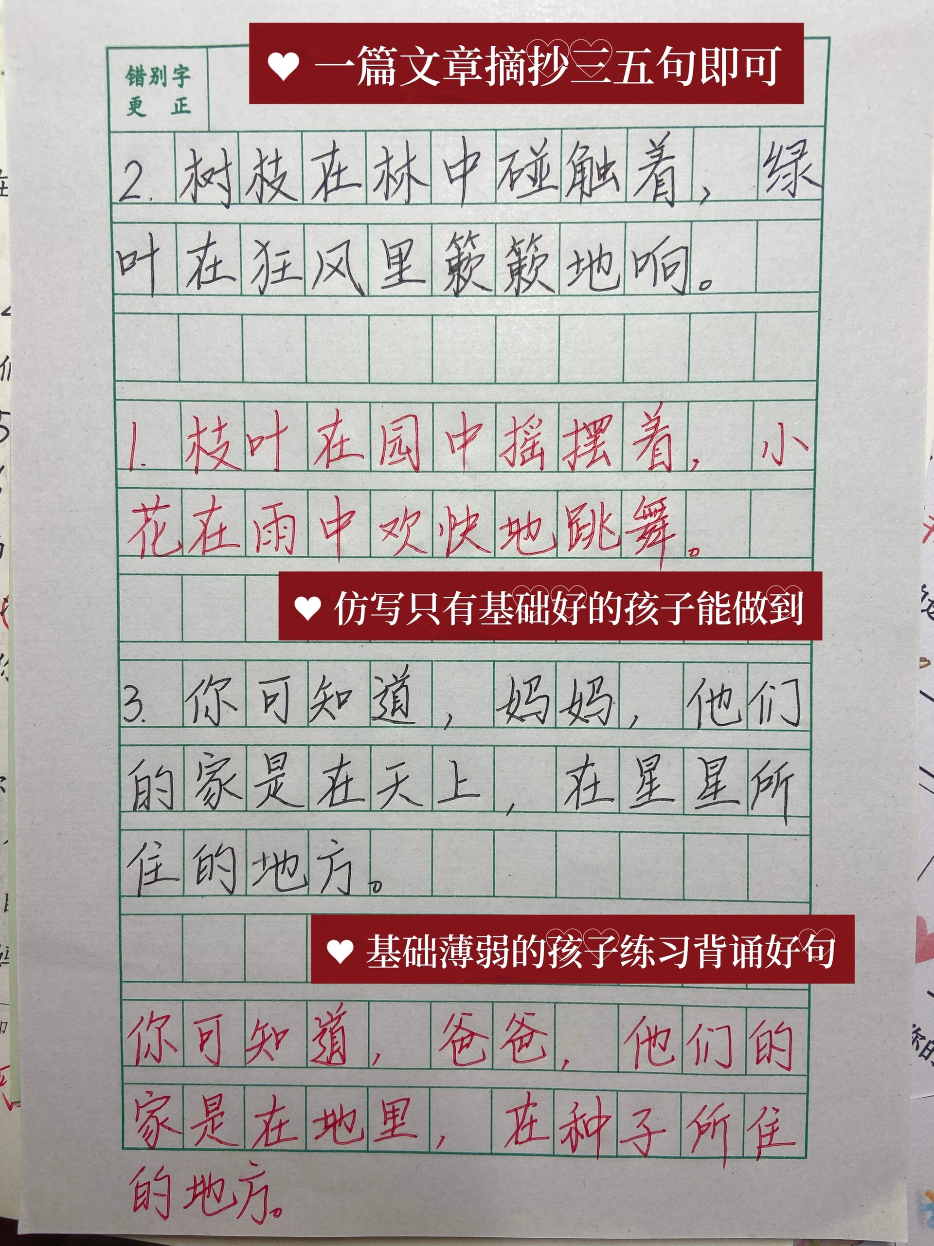 小学生作文格式样本图片