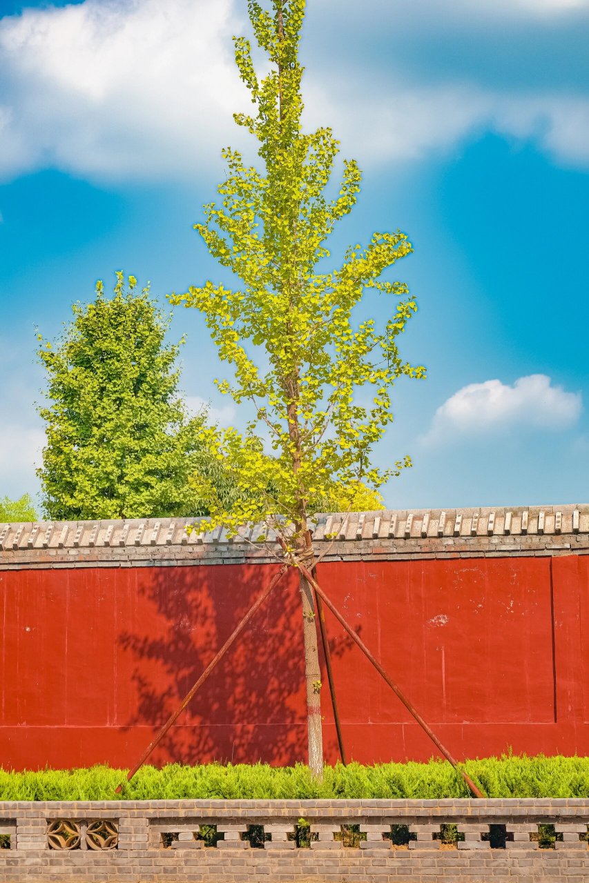 许昌襄城|乾明寺摄影记录! 喜欢到处走走,逛逛古城,逛逛寺庙!