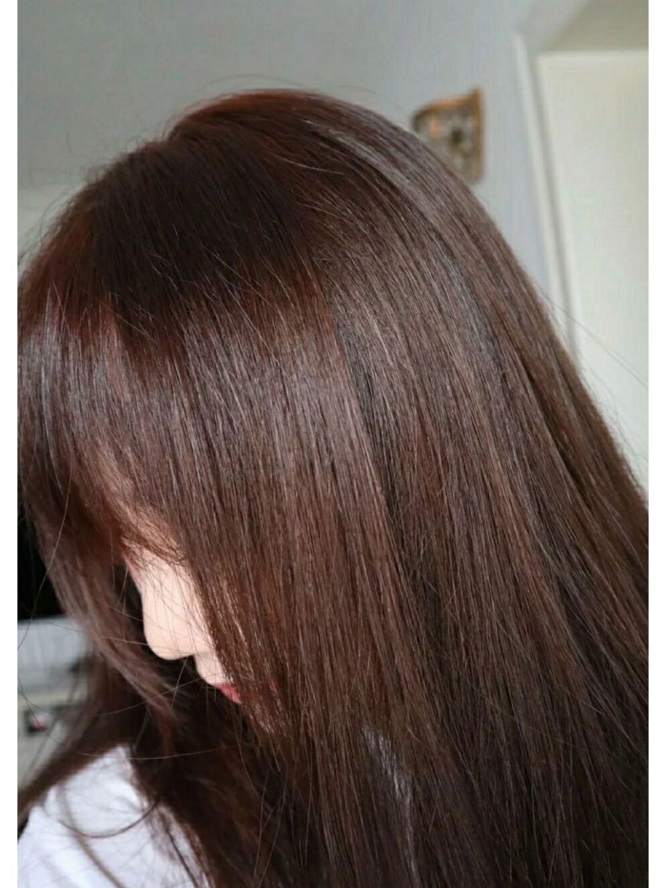 0 羊绒脂深棕 施华蔻怡然染发霜3.