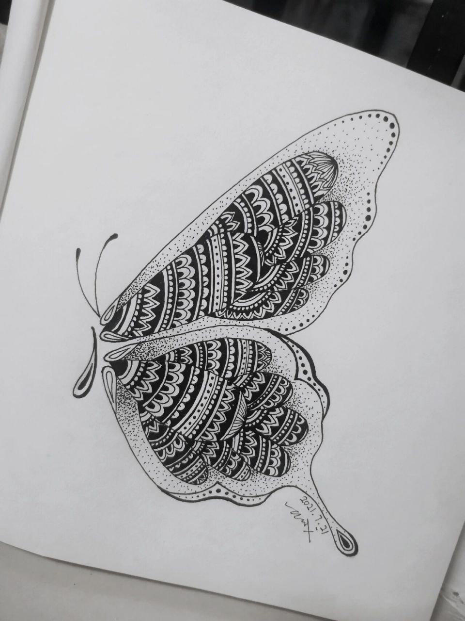 每日一画|蝴蝶手绘黑白画第二幅原创 现在的生活,是之前一切选择的