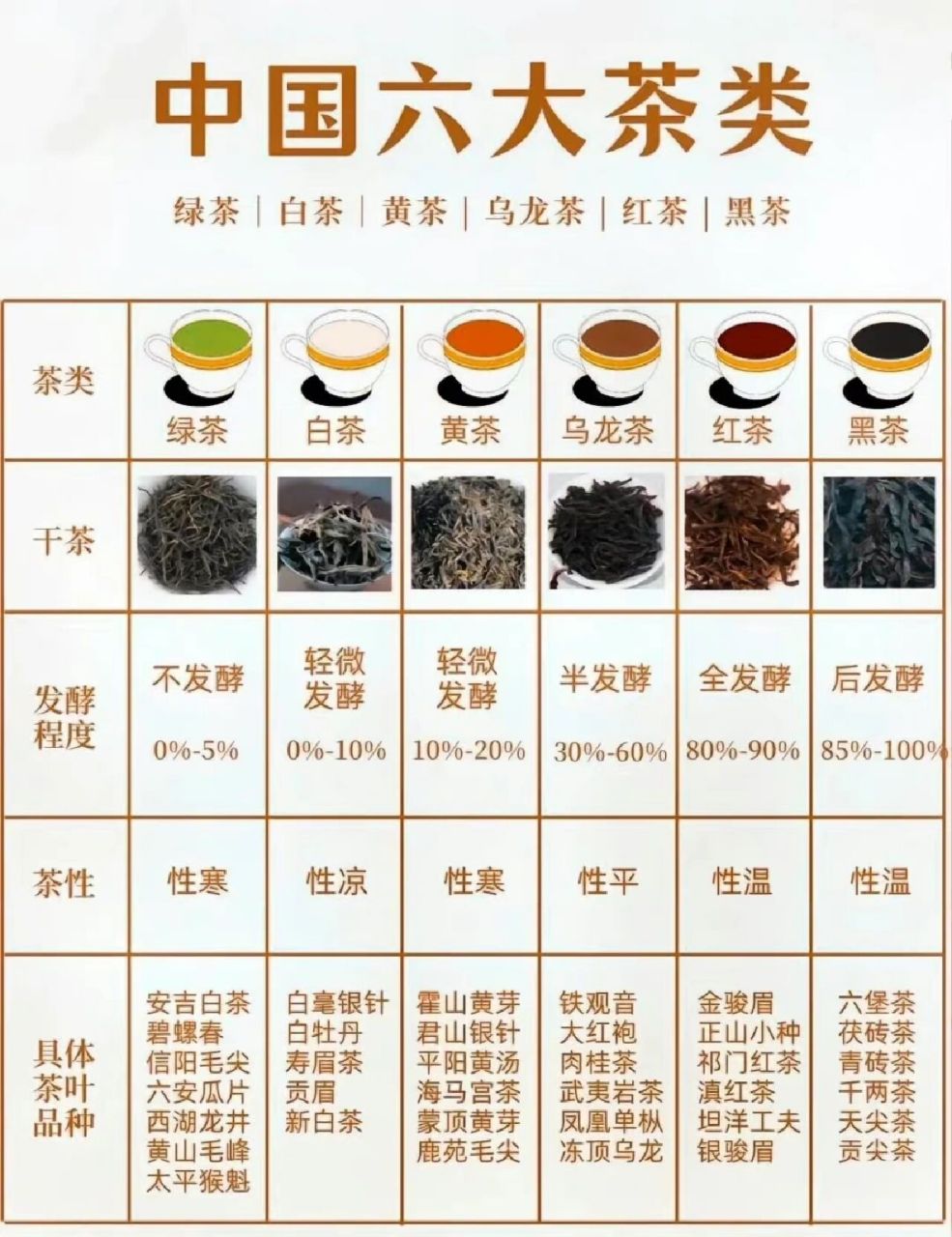 中国六大茶类详解 茶叶的寒凉平温 制茶工艺直接决定 体质不同 选茶