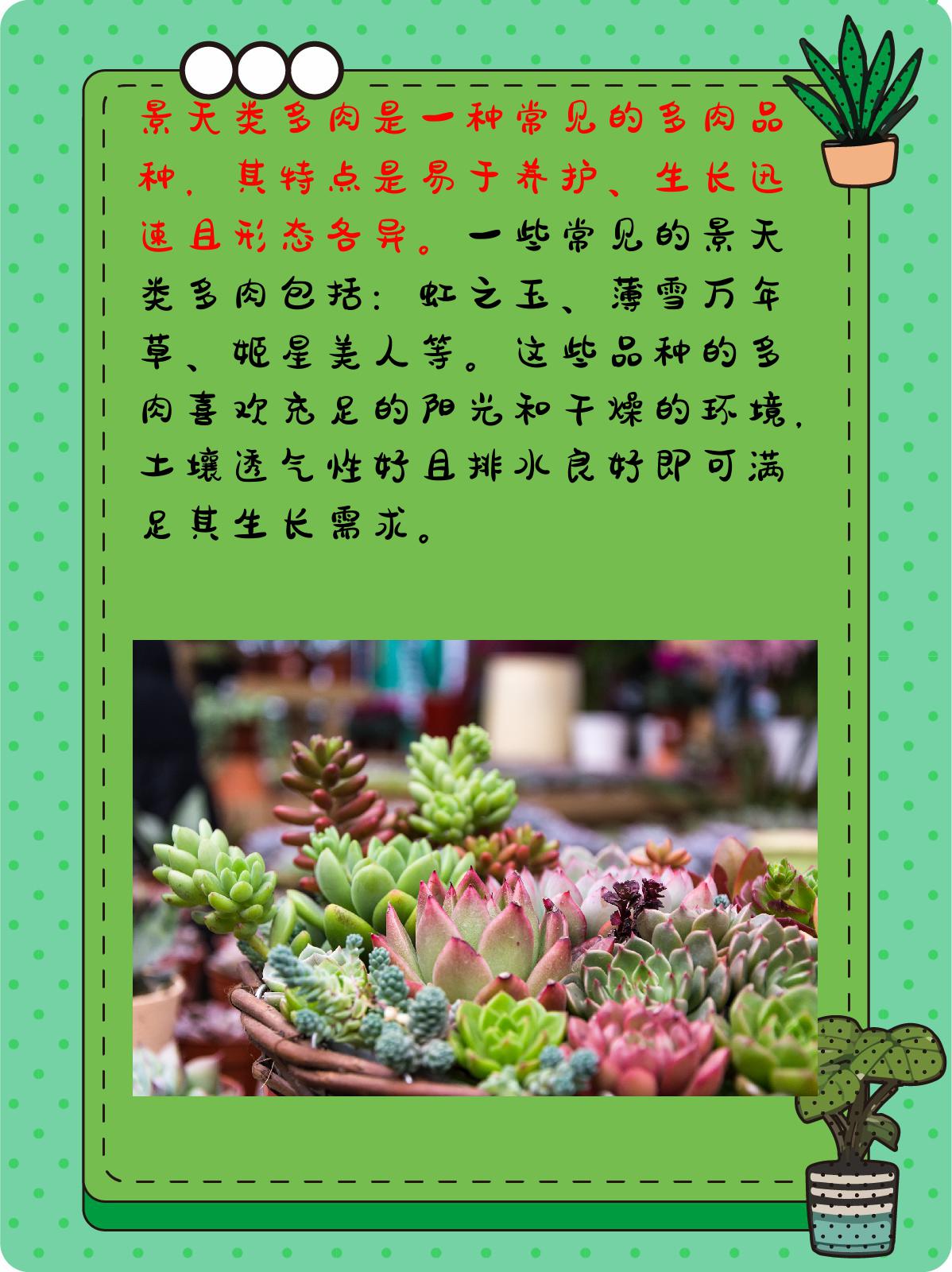 多肉植物外貌描写图片