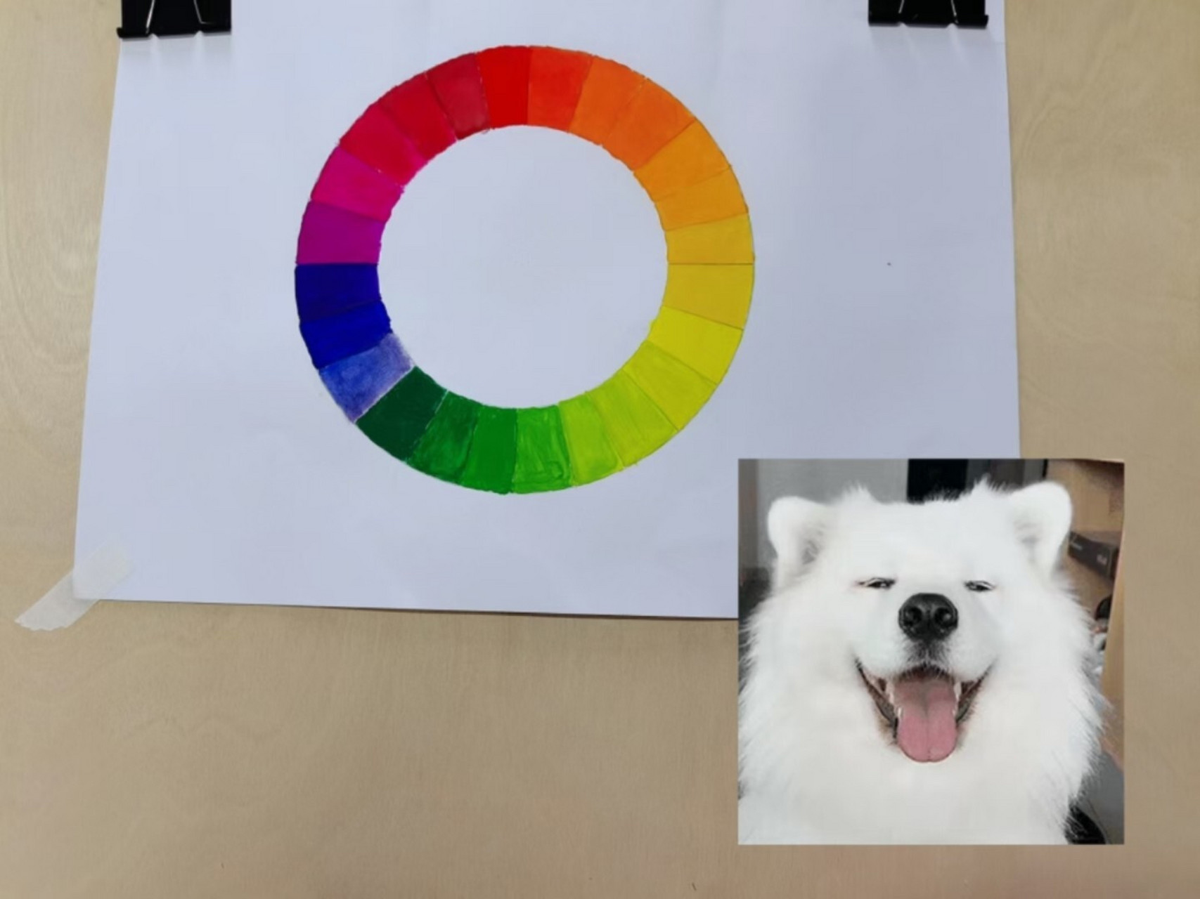 水粉61装饰画61二十四色相环 #水粉画