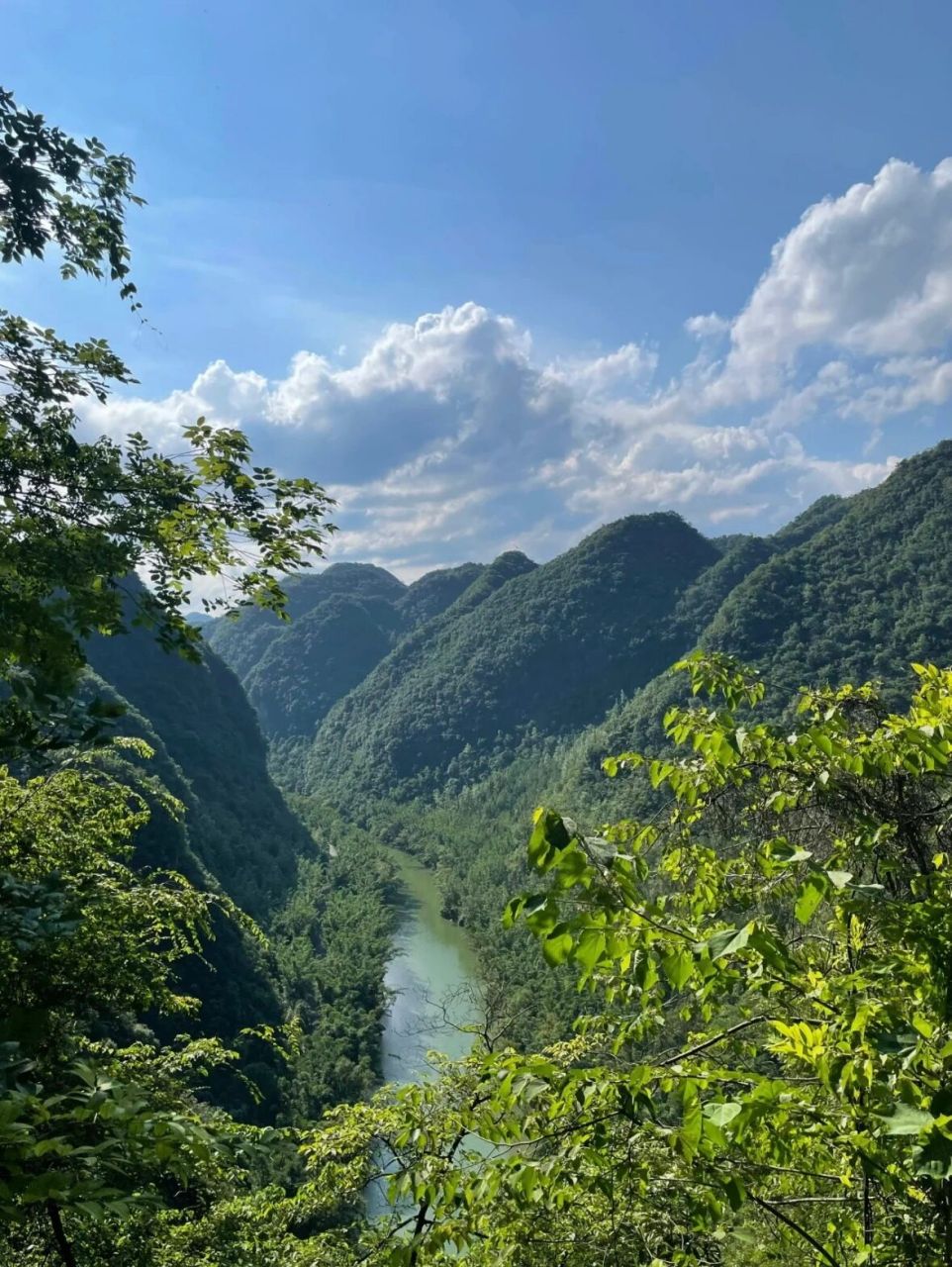 夏日避暑记|安顺格凸河 📍位于贵州省安顺市紫云县的"格凸河"景区不