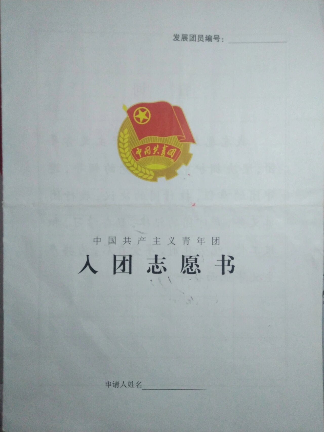 入团志愿书 第1个 共两个