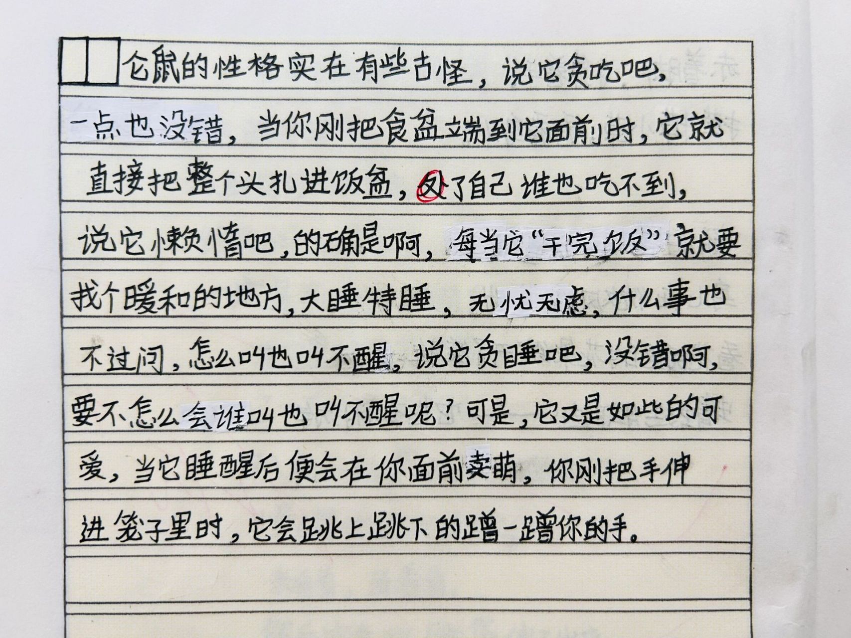 四下语文13课《猫》小练笔   随文练笔,有的字迹不够工整