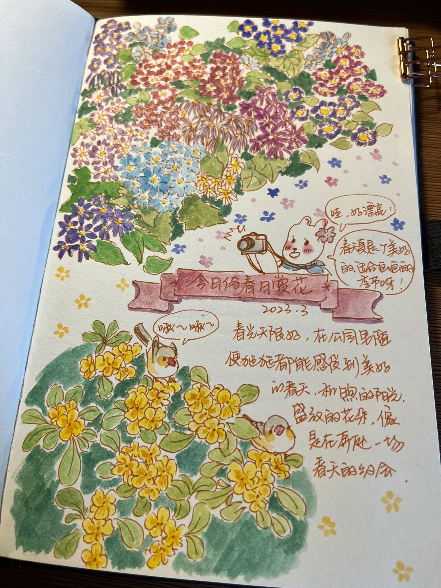 手帐 春日赏花 公园里的花儿们迫不及待的告诉人们春天来啦～🌸🌸