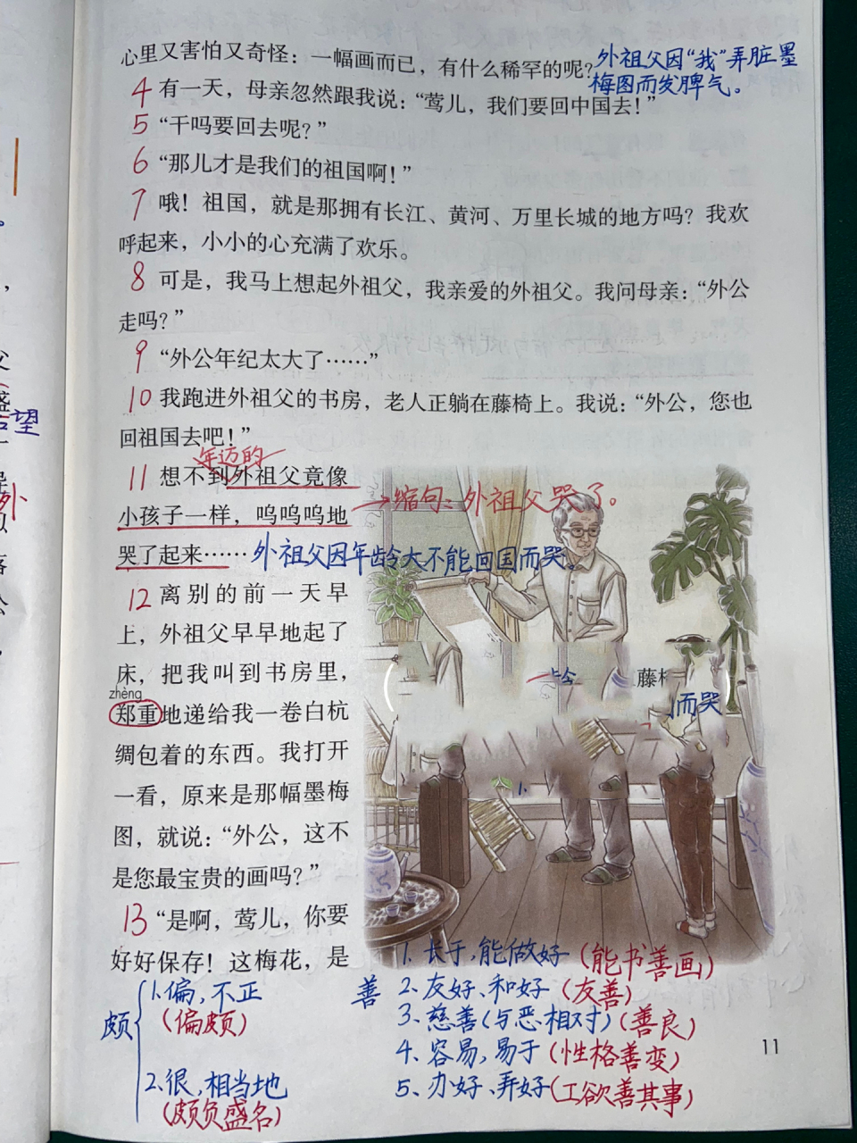 部编版五年级语文上册 第4课 梅花魂 笔记