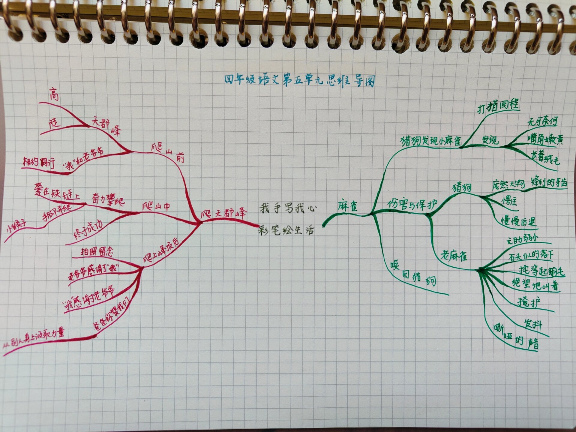 风筝主题网络图图片