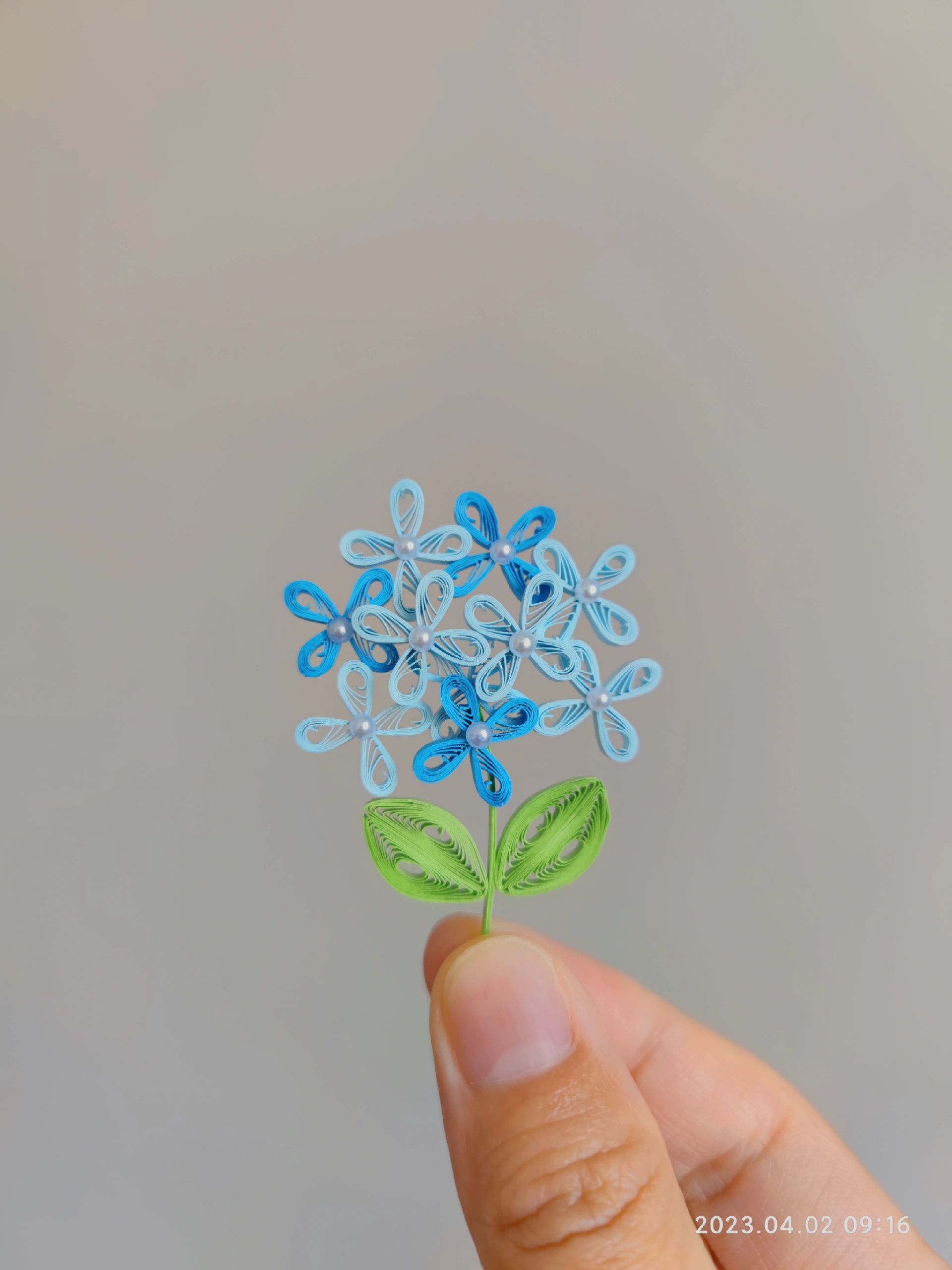 同上制作方法,蓝色12个泪滴卷,做3朵小花. 叶子:淡绿色22cm参考12