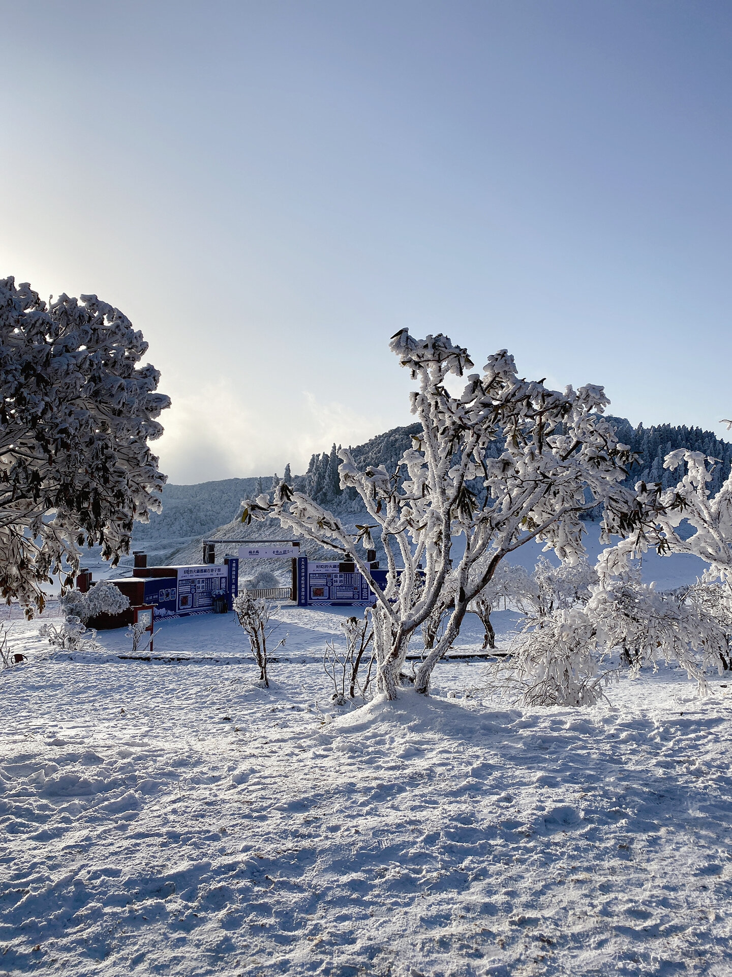 金佛山北坡雪景图片