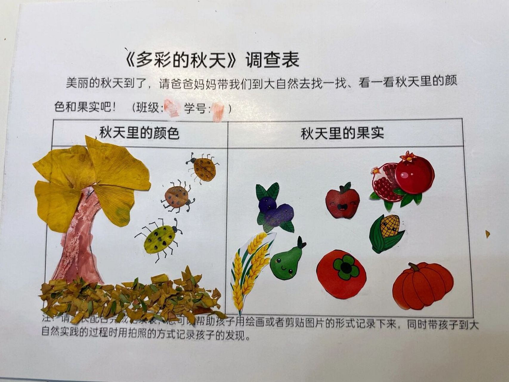 幼儿园中班《多彩的秋天》调查表 任务又来啦中班作业,与孩子共同探讨