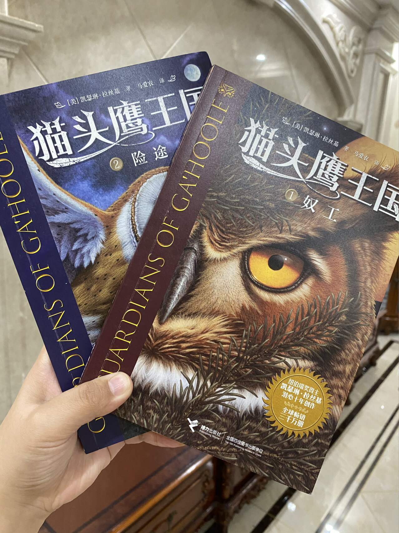 猫头鹰王国 四年级以上课外书推荐