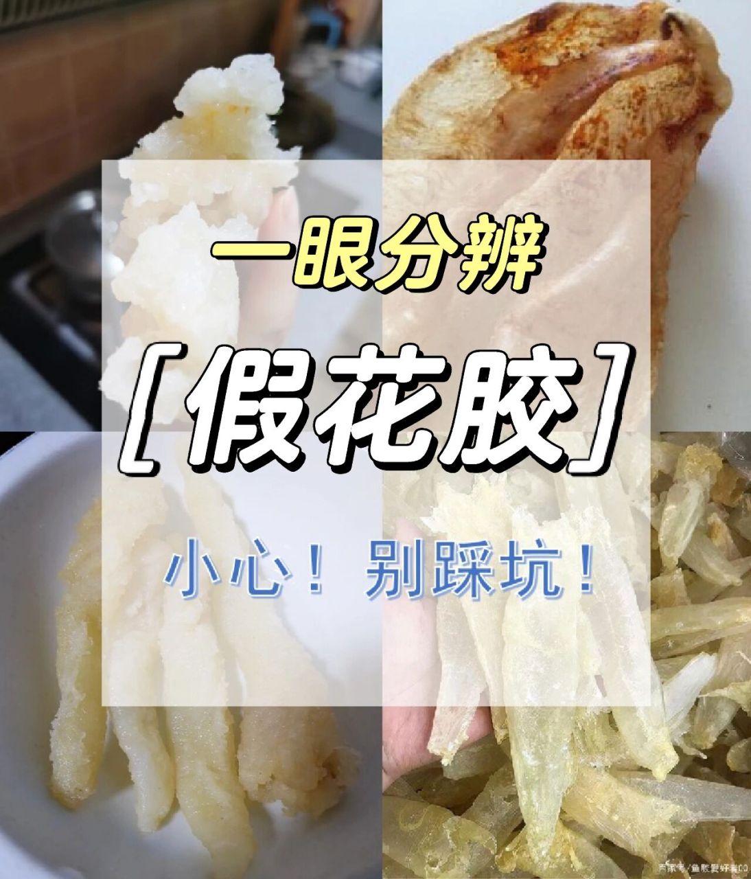 如何一眼分辨假花胶丨小心 别踩坑!