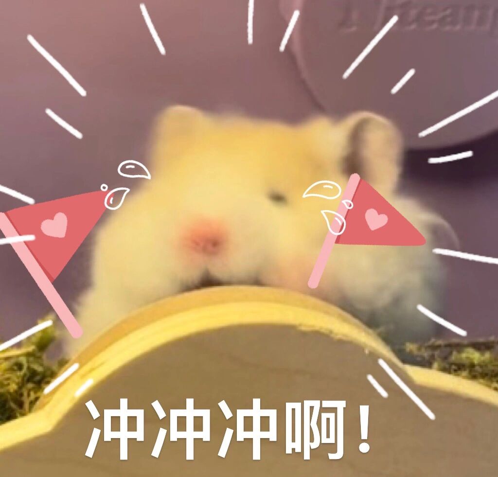 仓鼠表情包更新～豆奶篇!(仓鼠表情