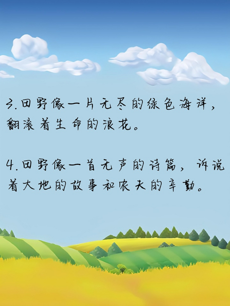 田野像一幅流动的油画,色彩斑斓,描绘着四季的变换.