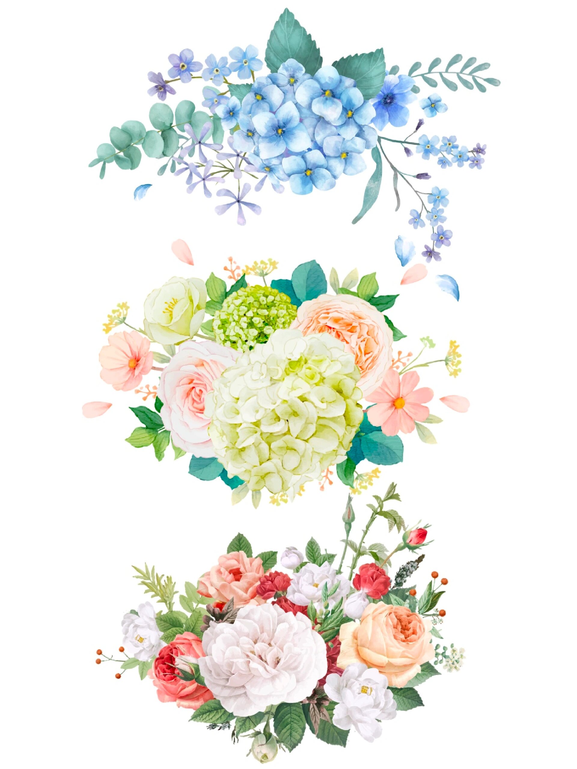 免抠花卉花朵素材🌺🌸