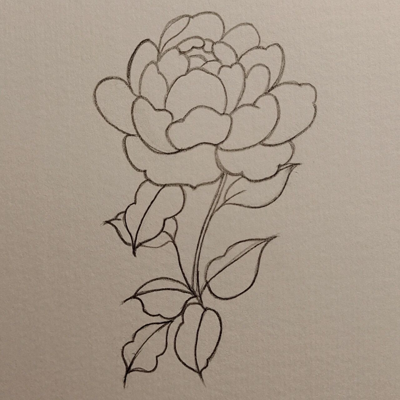 花朵96简笔画|素花|含教程 家里没网络了 只能用流量看电影了