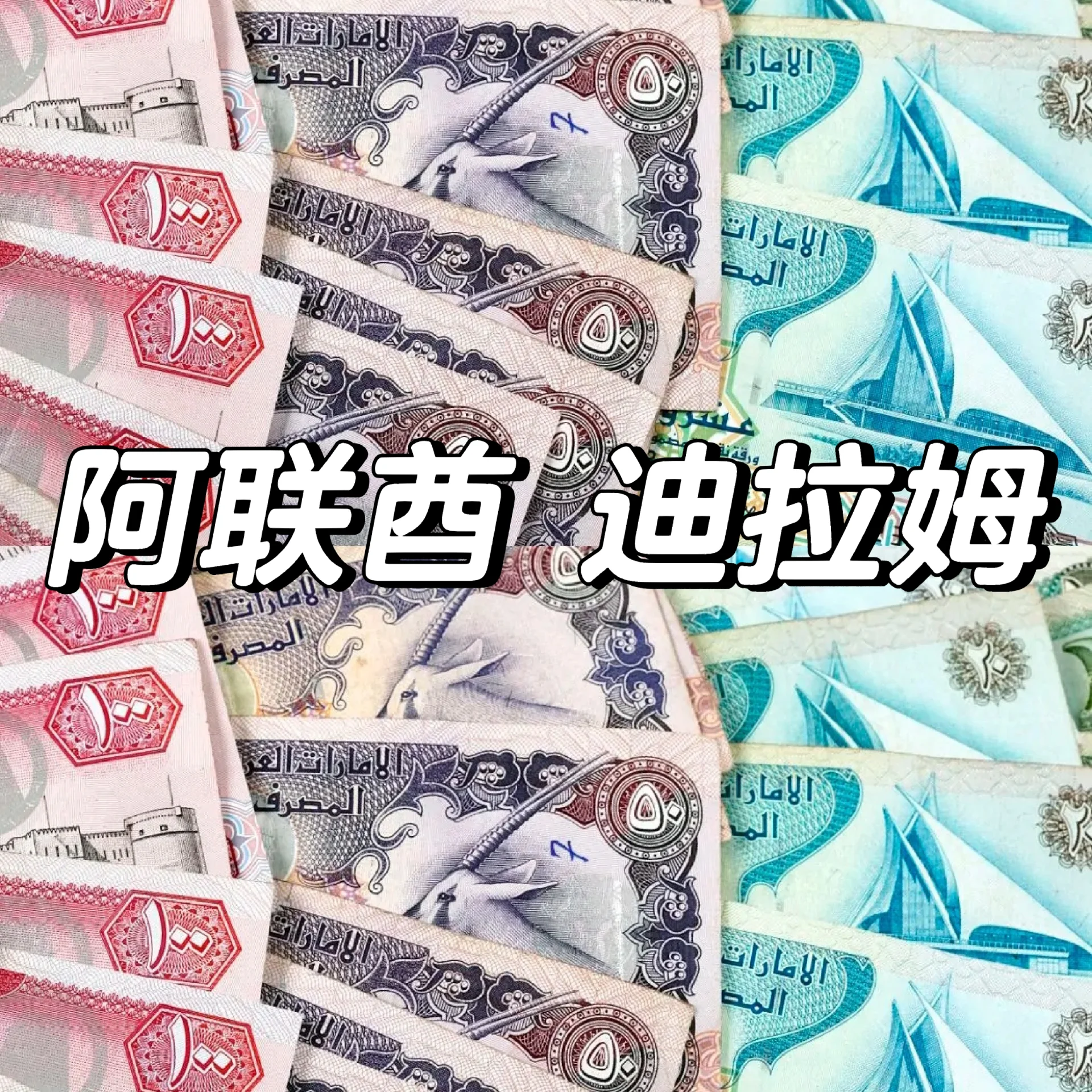 迪拉姆跑车图片