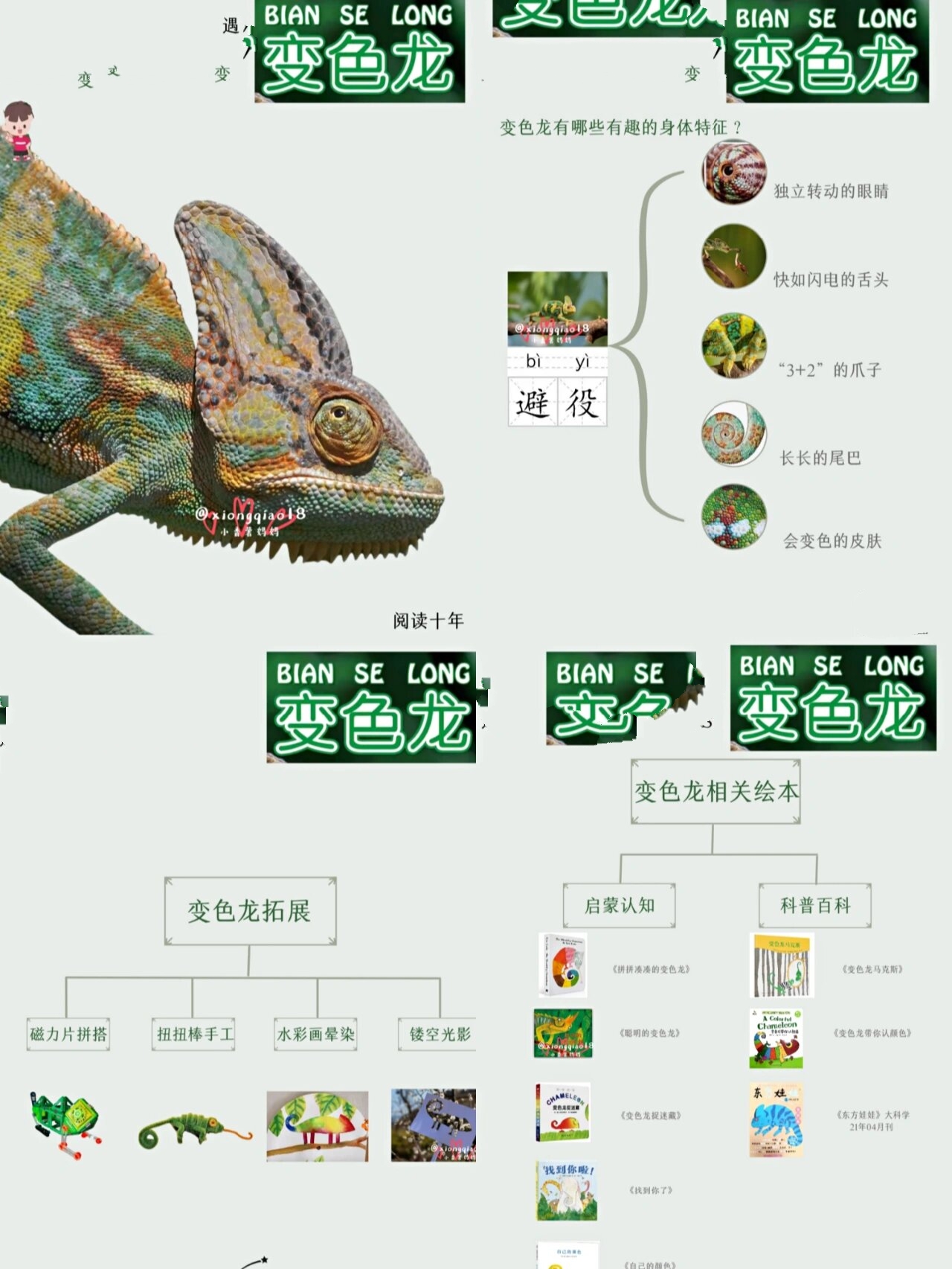 思维导图&《小聪仔科普》