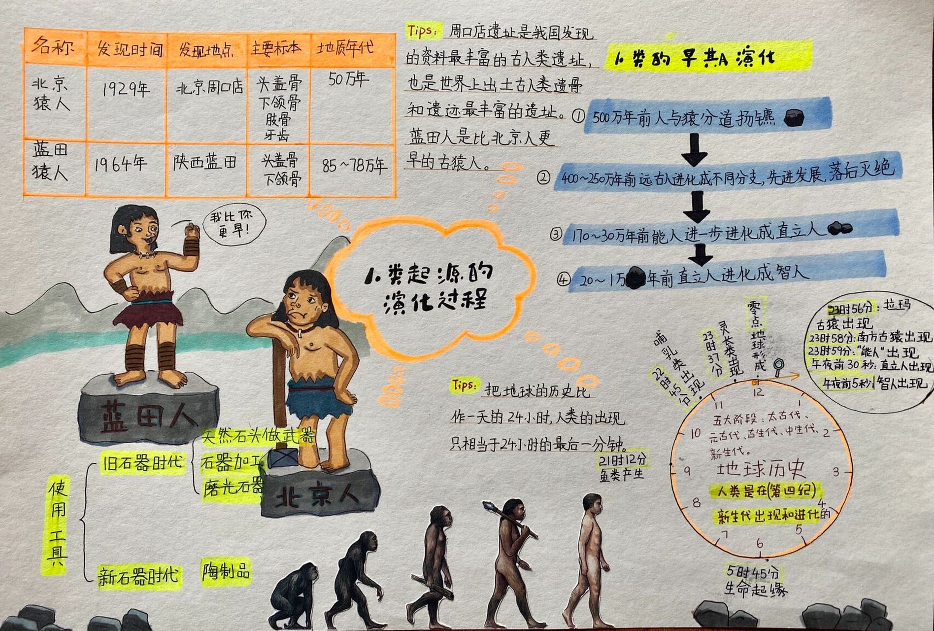 人类进化思维导图高清图片