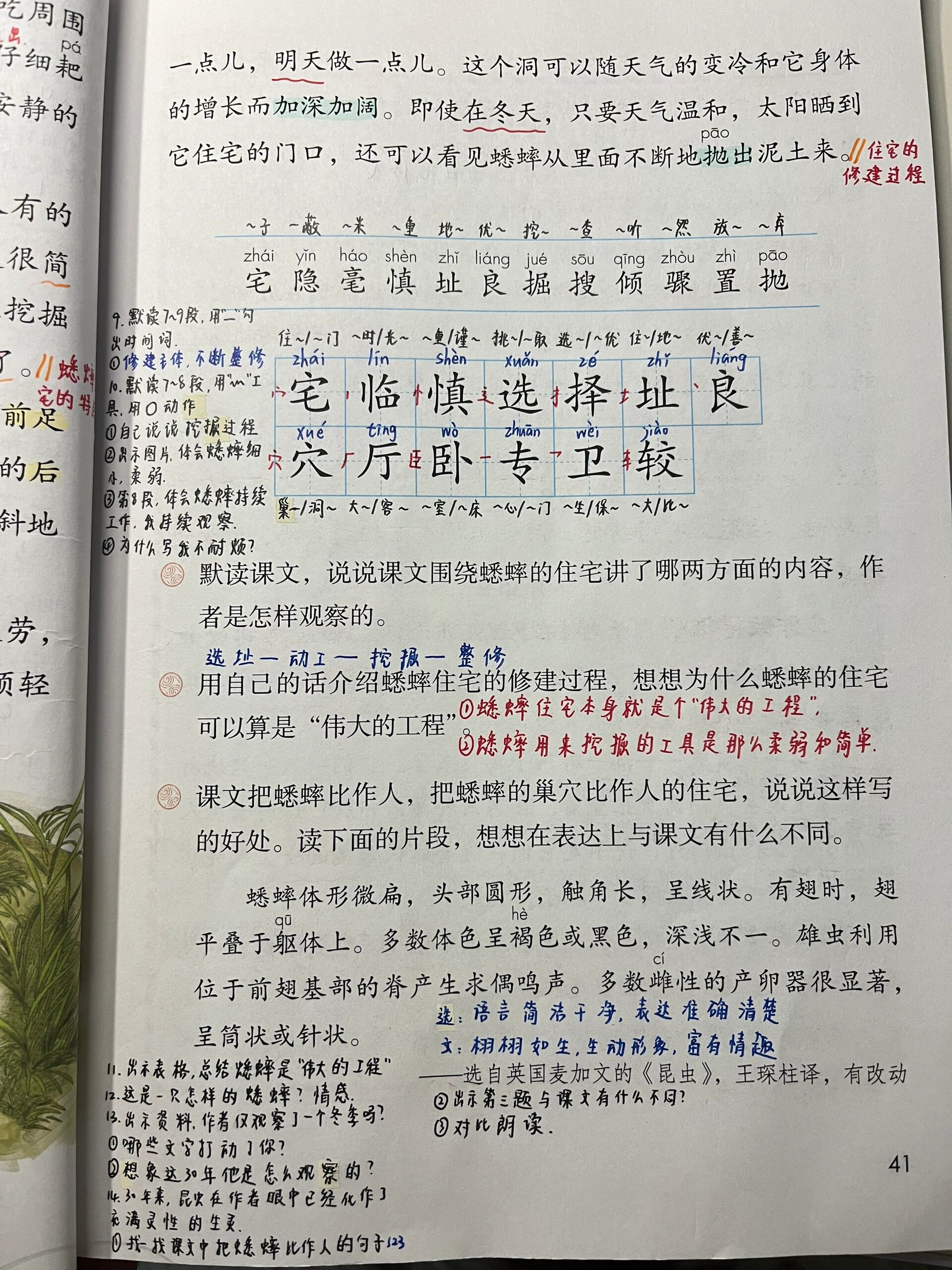 蟋蟀的住宅生字拼音图片