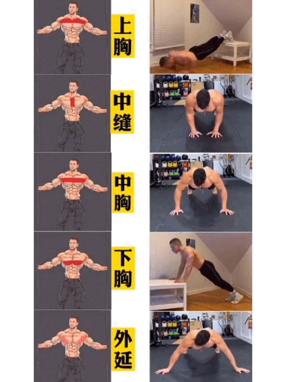 一张图告诉你6015   给健身的小伙伴们分享一张 用俯卧撑练胸肌的