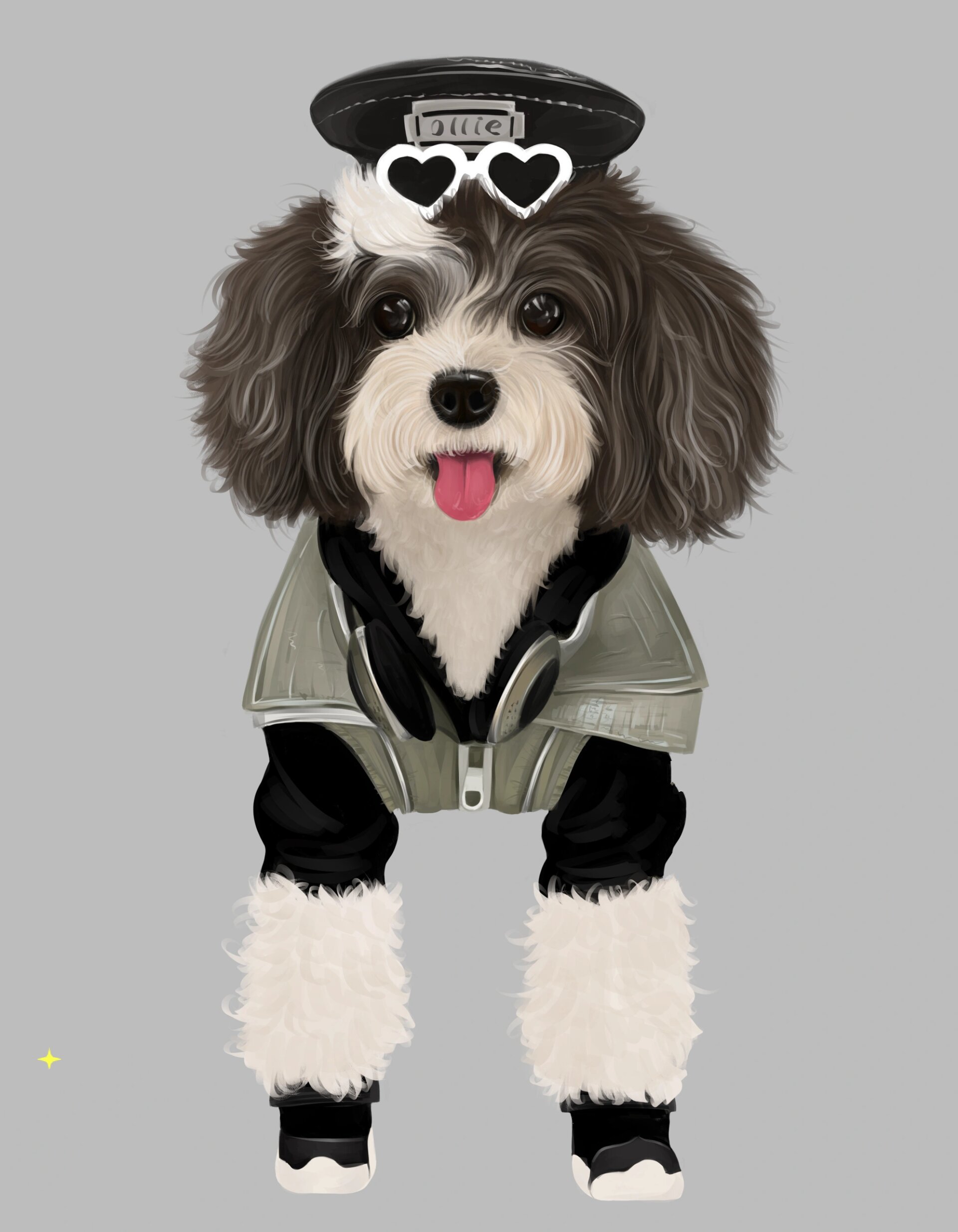 宠物手绘|花泰迪篇