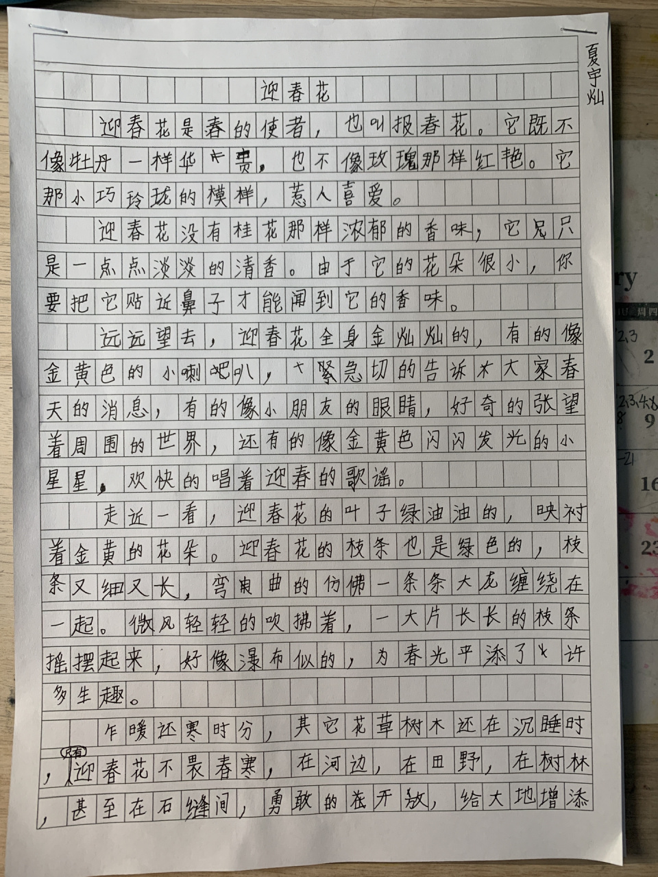 观察一种植物小练笔50个字左右怎么写(观察一种植物小练笔50个字左右怎么写的)