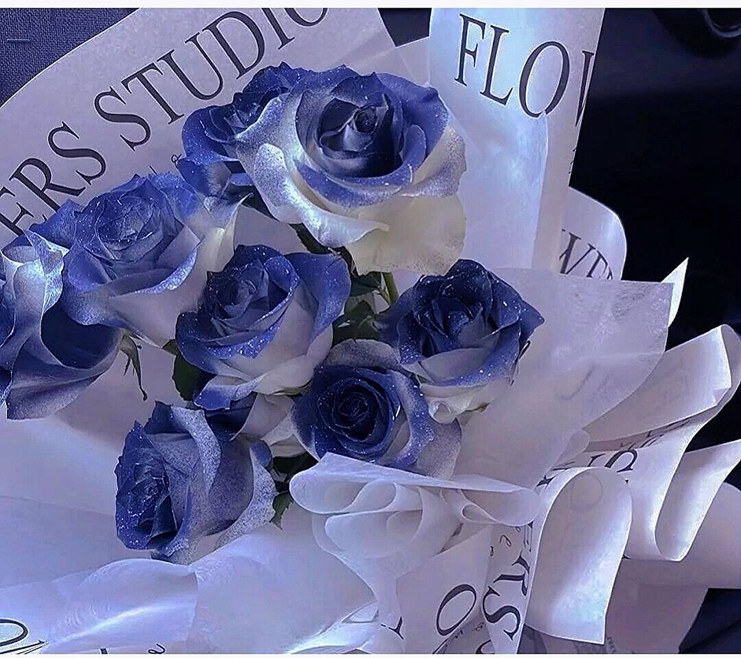 蓝玫瑰头像 如鲸向海97 似鸟投林97 不可避免97 拿图评论点赞