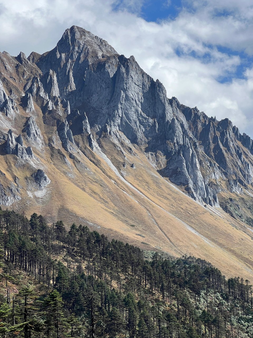 21孔雀山近景