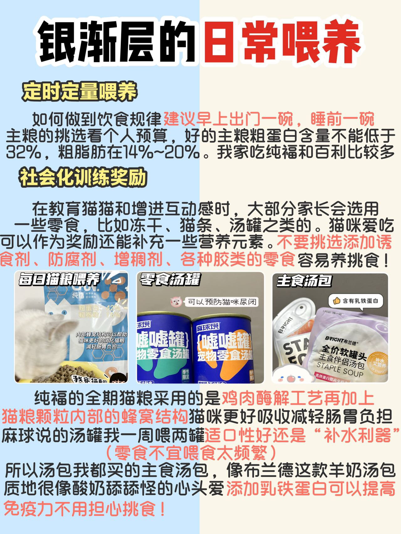 银渐层怎么养6315看这一篇就够啦73