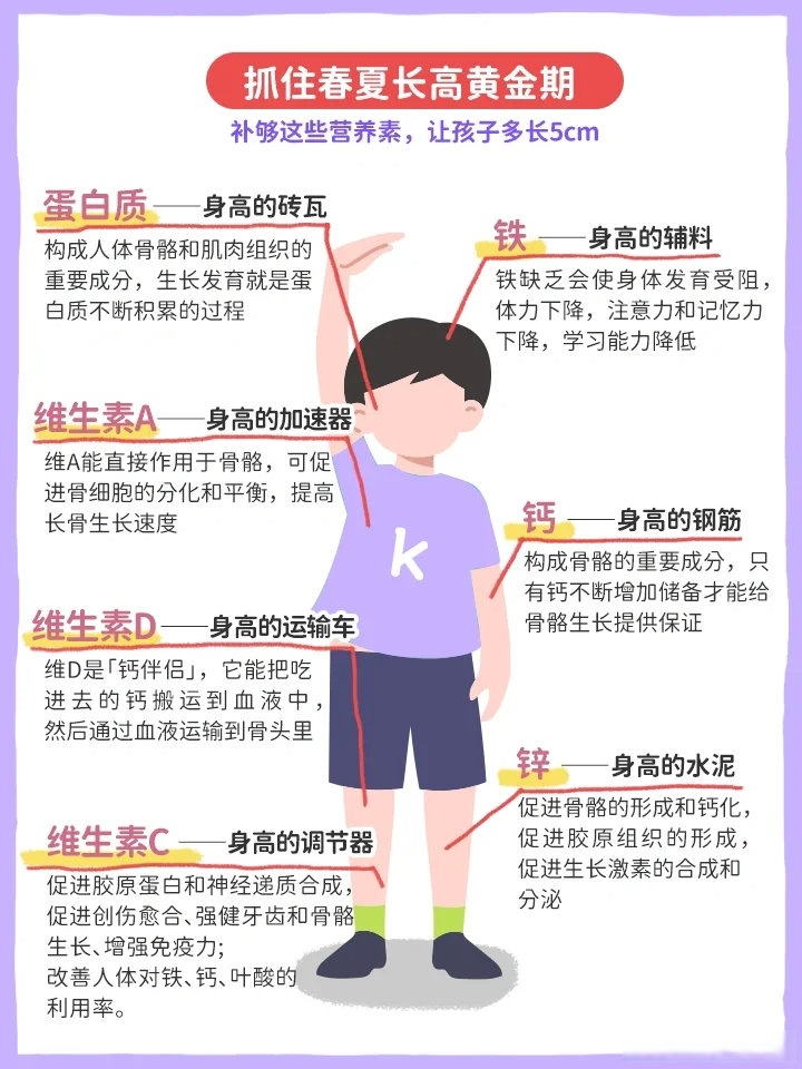 抓住春夏长高期 补够这些营养再长5cm 做身高管理,家长最关注的是